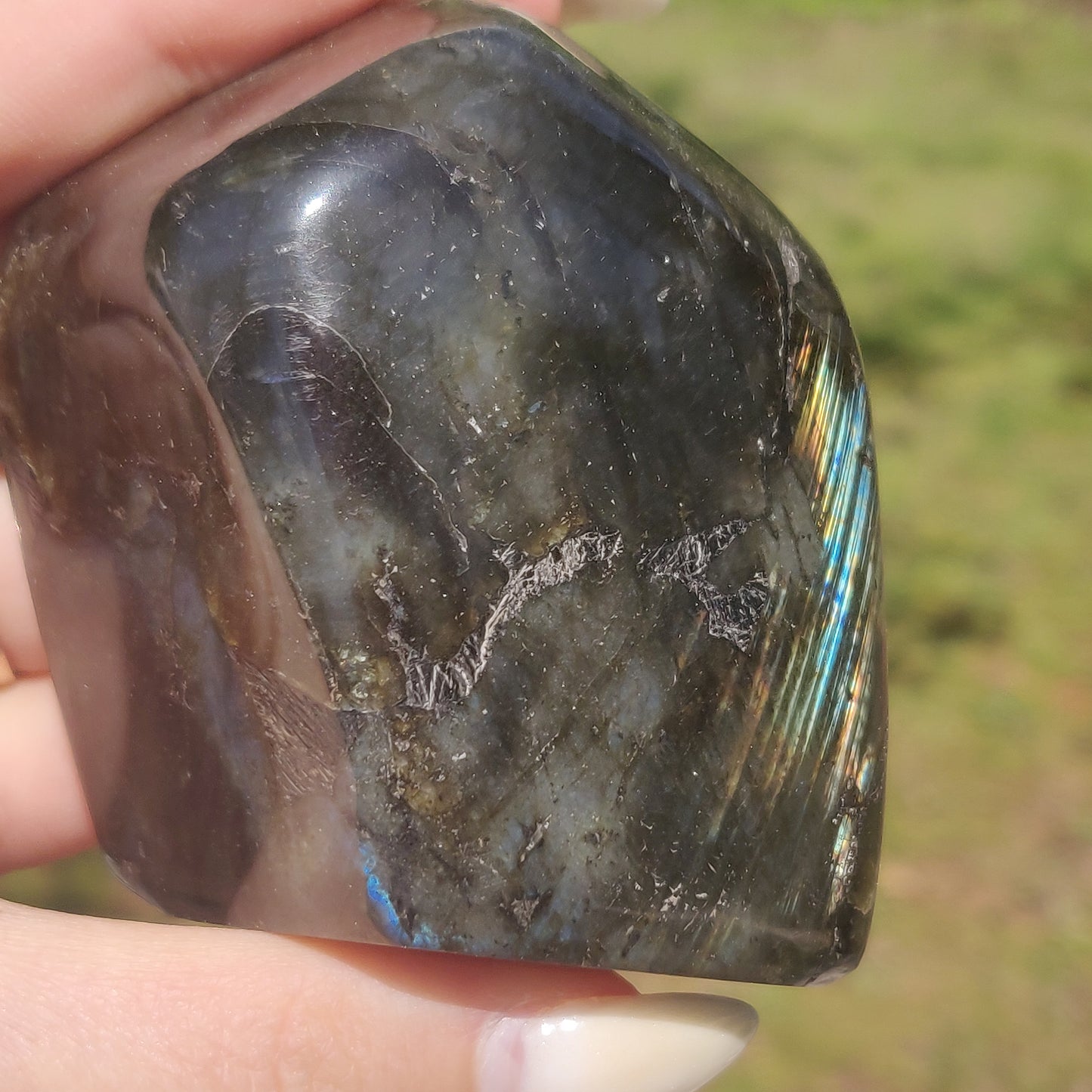 Labradorite Free Form (#4P)