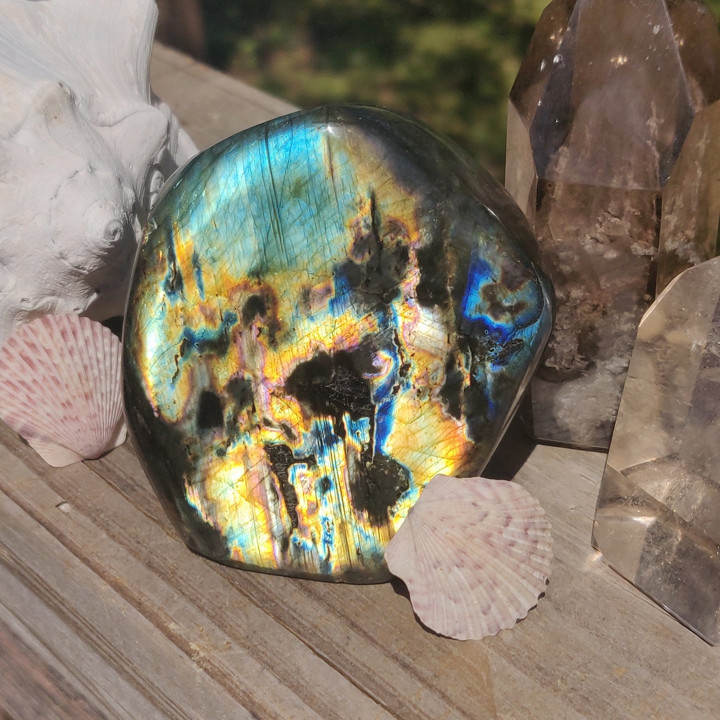 Labradorite Free Form (#4P)