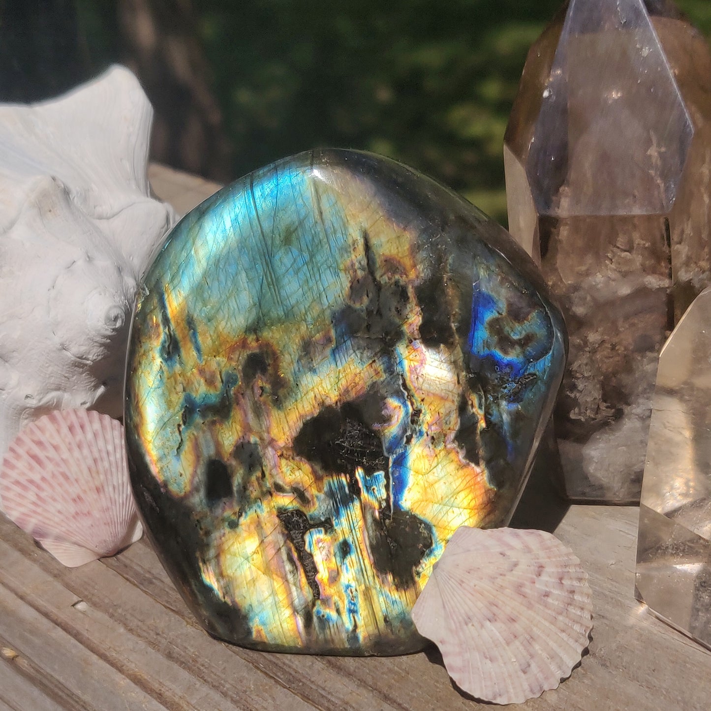 Labradorite Free Form (#4P)