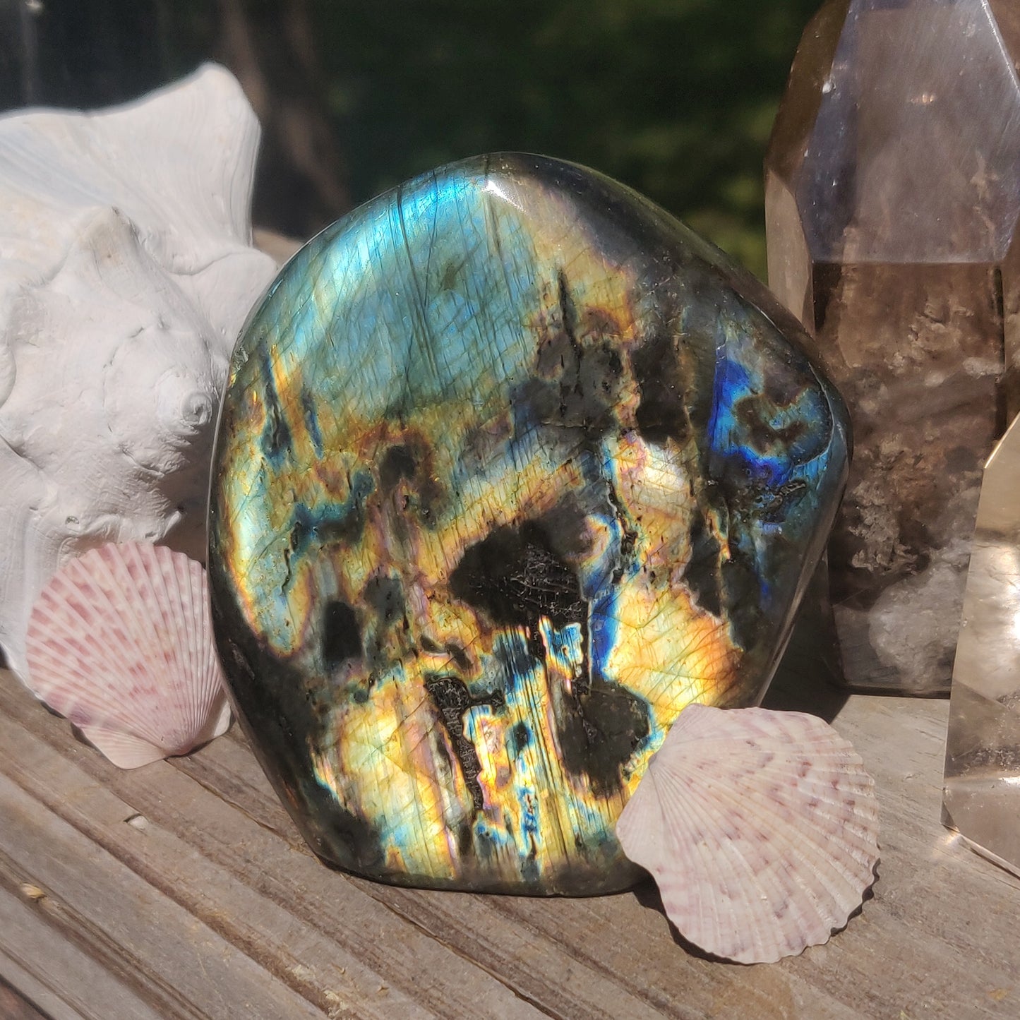 Labradorite Free Form (#4P)