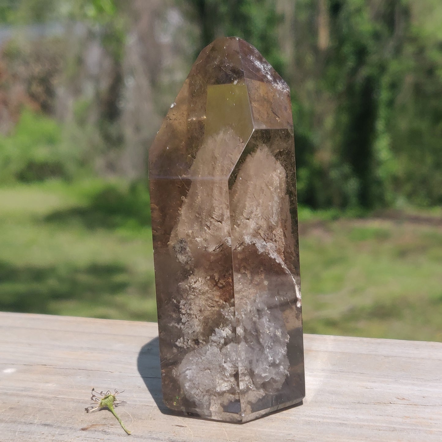 Lodolite Smoky Quartz Point (#1P)