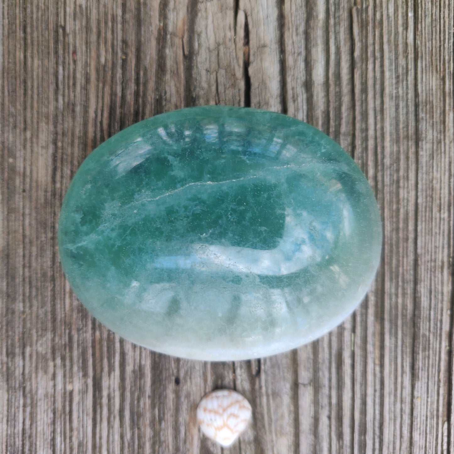 Fluorite Palm Stone (#6)