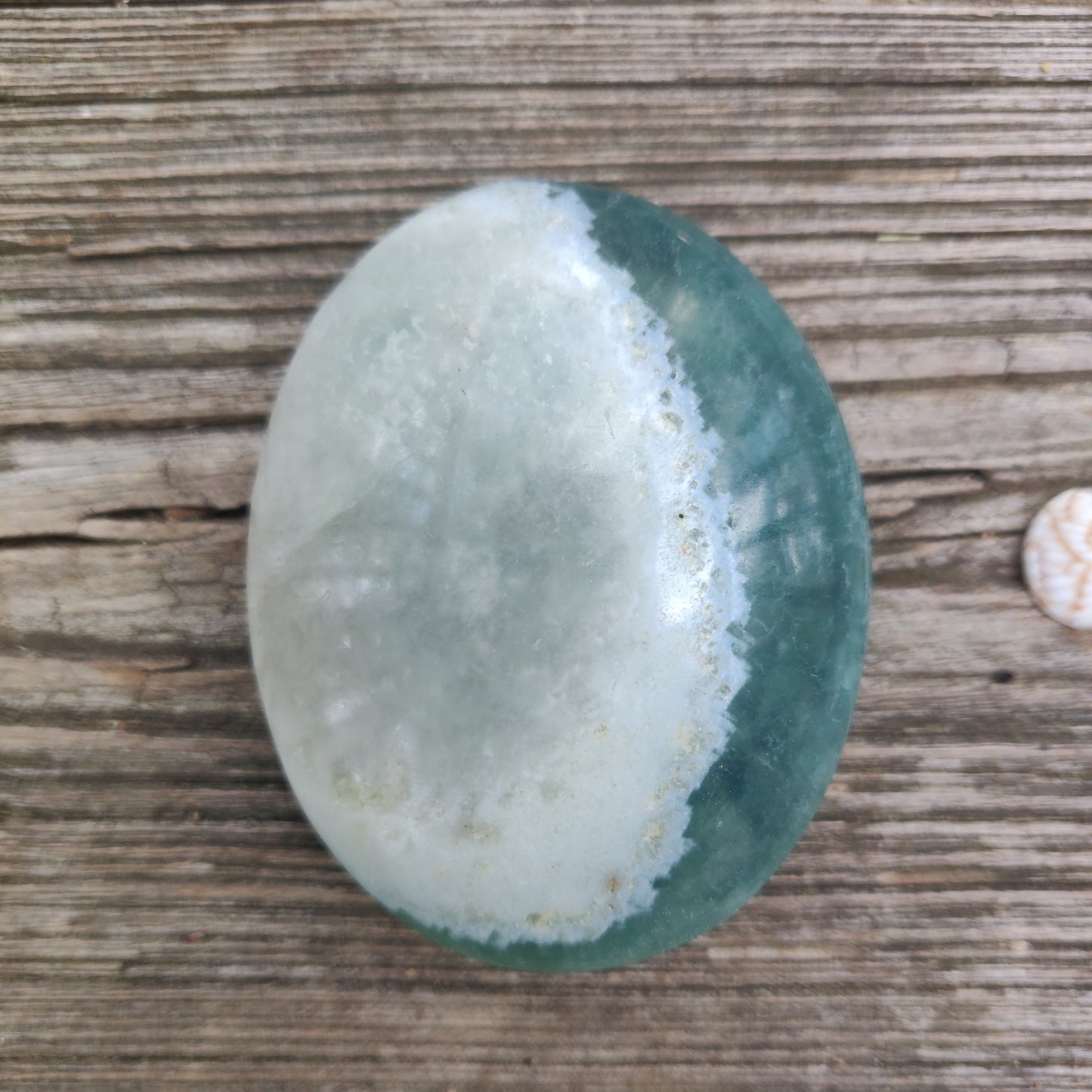 Fluorite Palm Stone (#6)