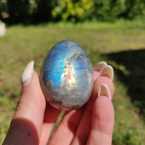 Labradorite Egg (#5) - Simply Affinity