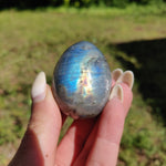 Labradorite Egg (#5) - Simply Affinity