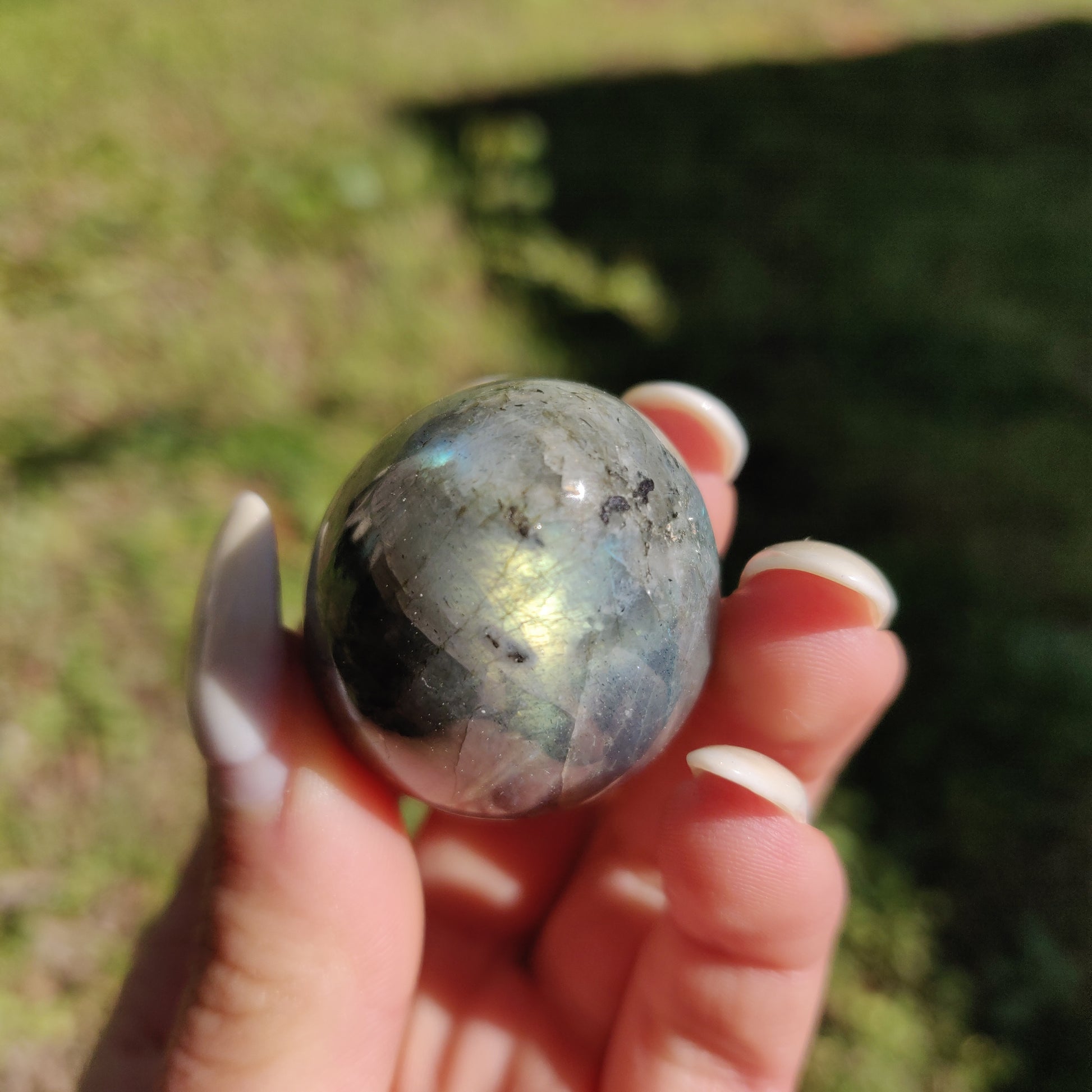 Labradorite Egg (#3) - Simply Affinity