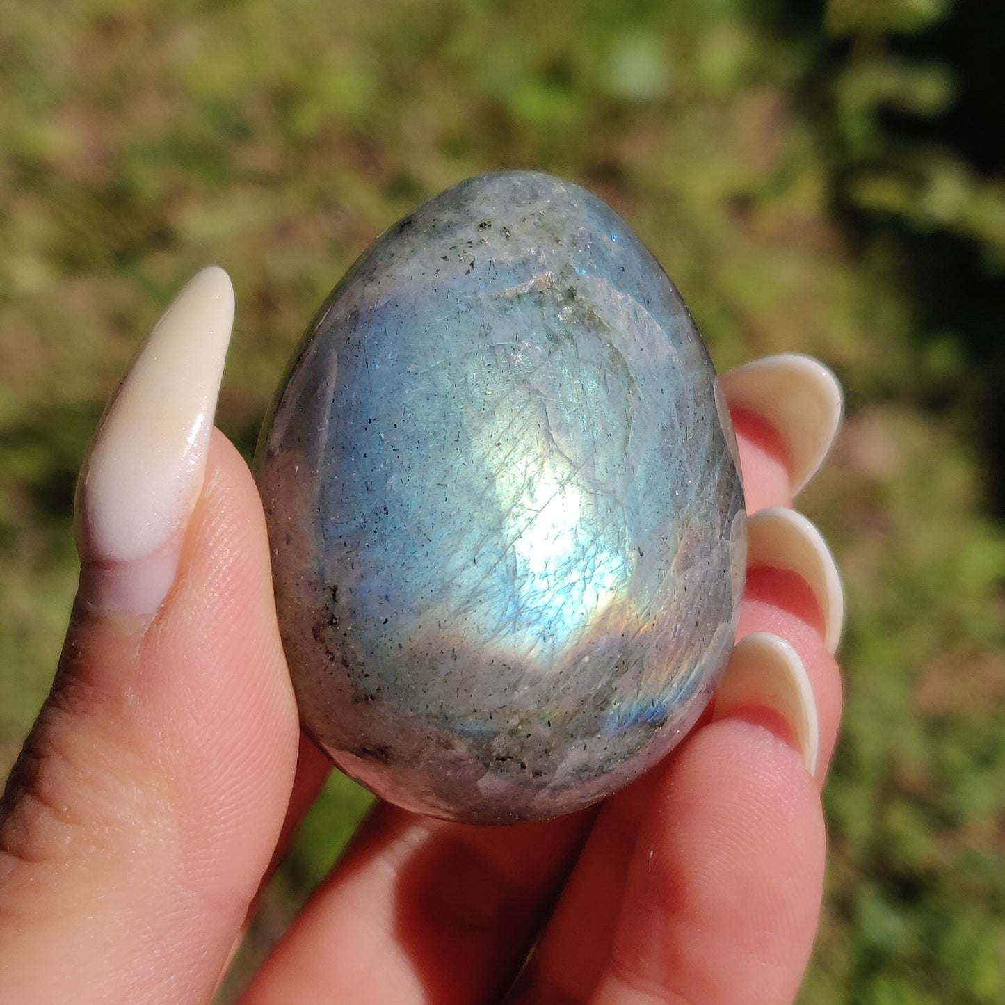 Labradorite Egg (#2) - Simply Affinity
