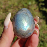 Labradorite Egg (#2) - Simply Affinity