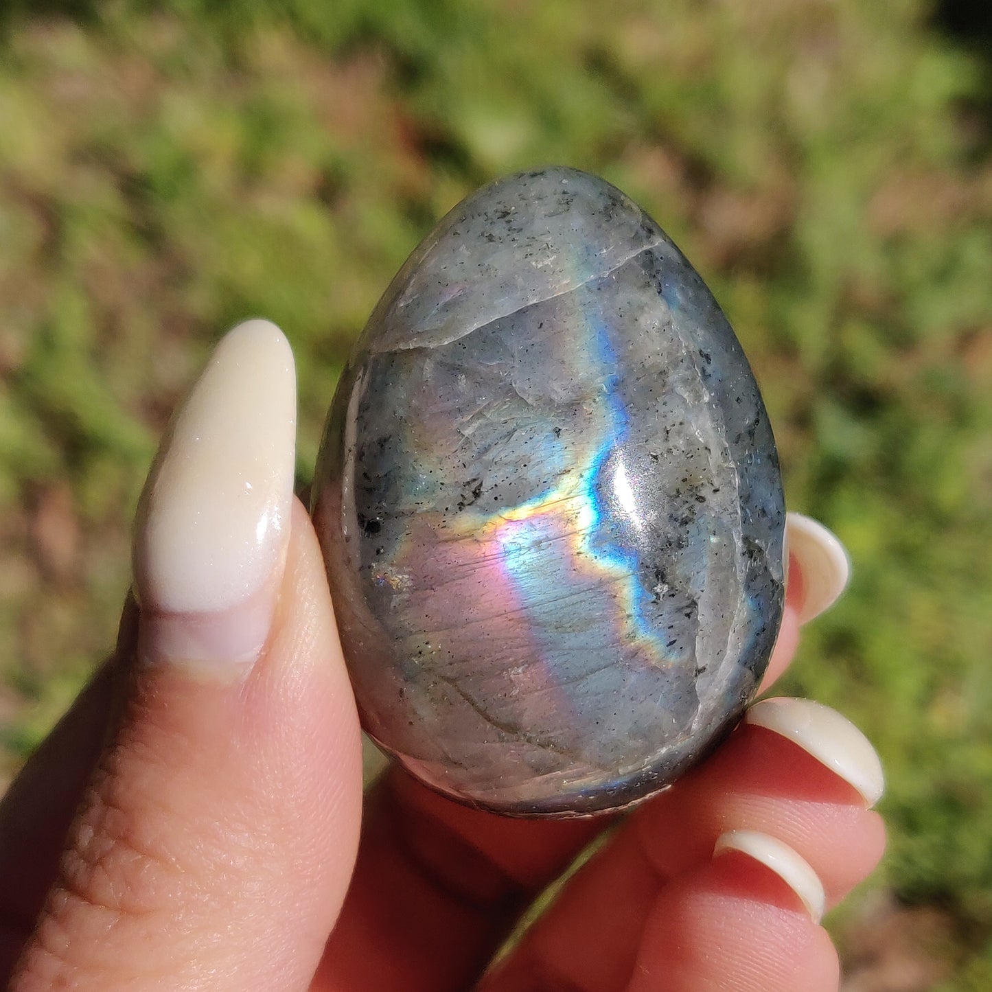 Labradorite Egg (#1) - Simply Affinity