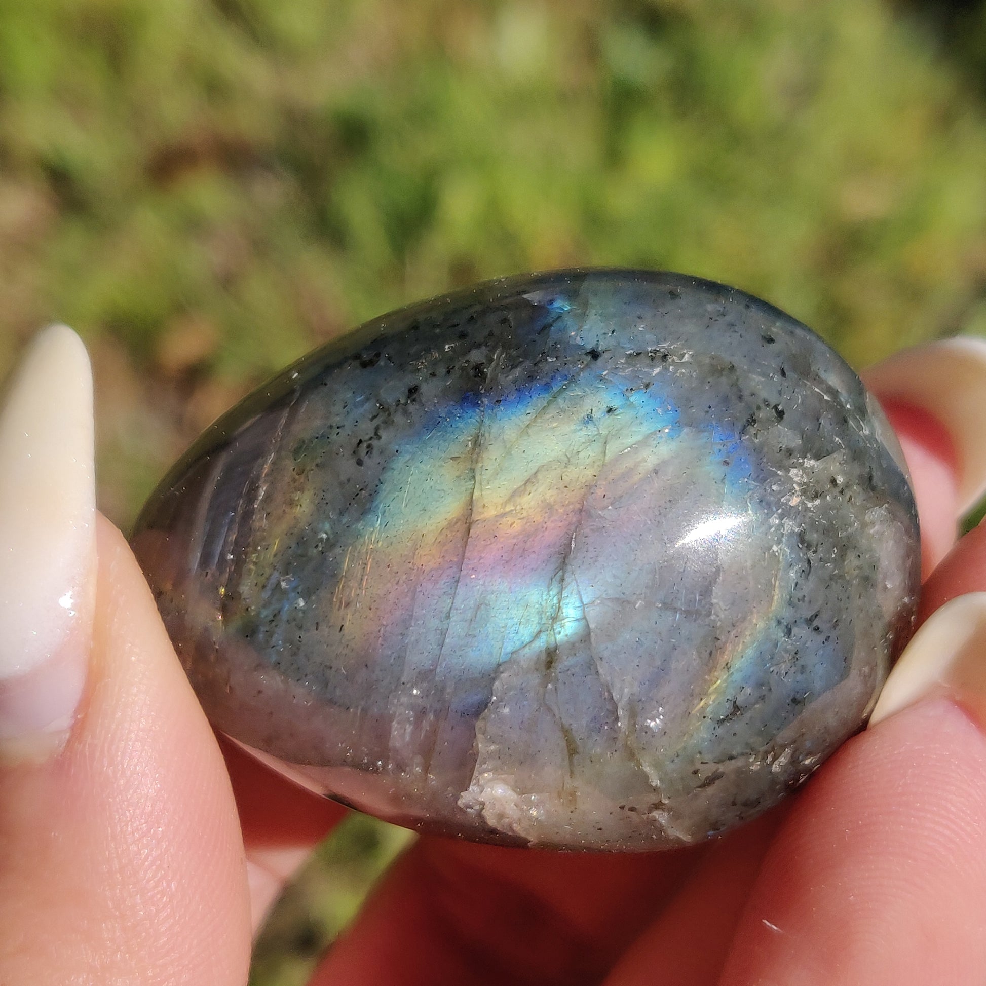 Labradorite Egg (#1) - Simply Affinity