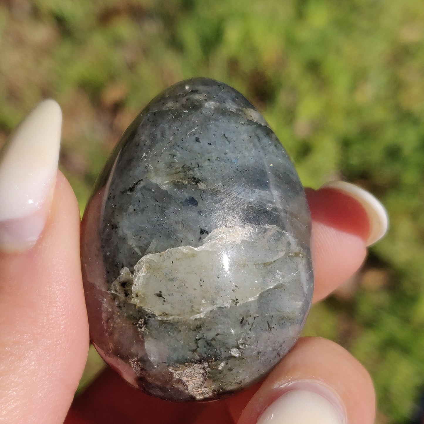 Labradorite Egg (#1) - Simply Affinity