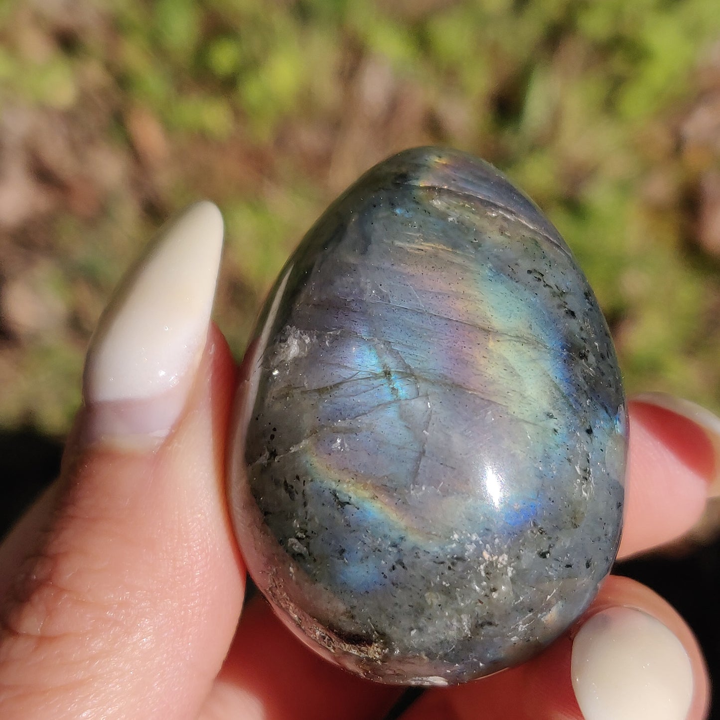 Labradorite Egg (#1) - Simply Affinity