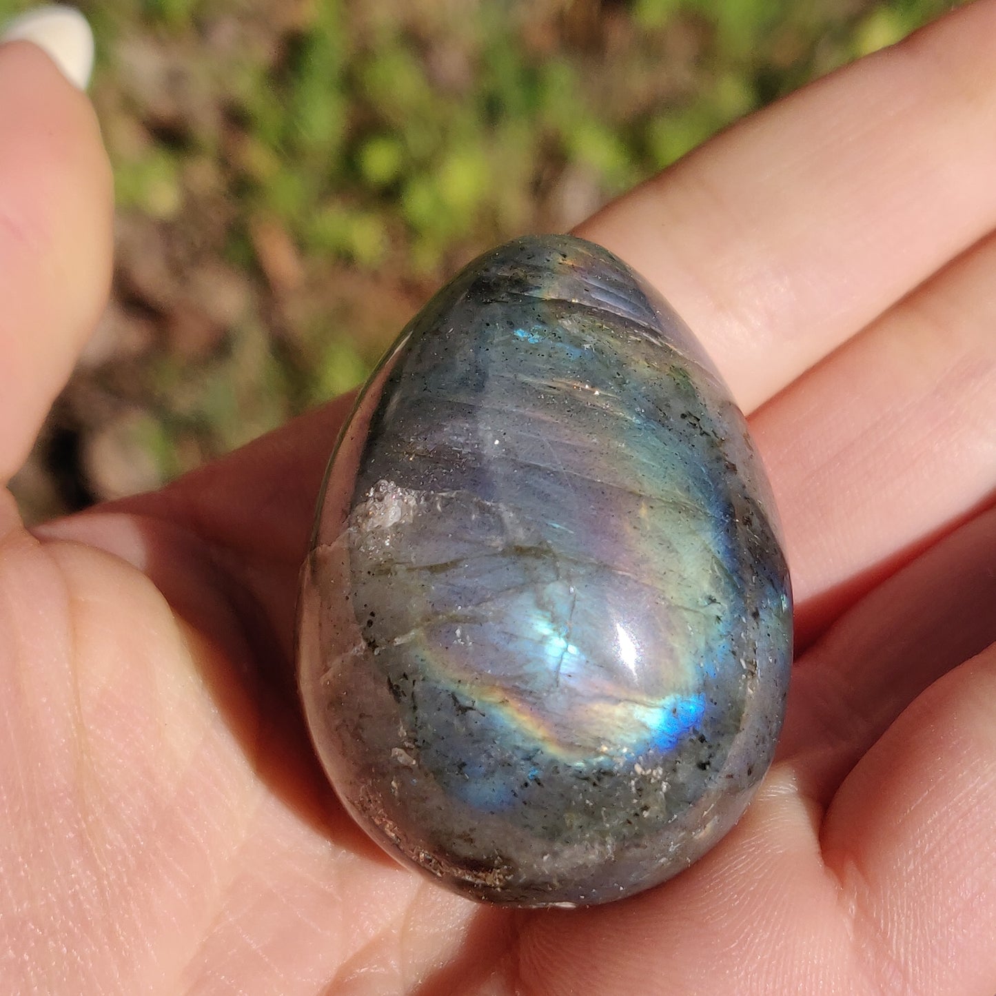 Labradorite Egg (#1) - Simply Affinity