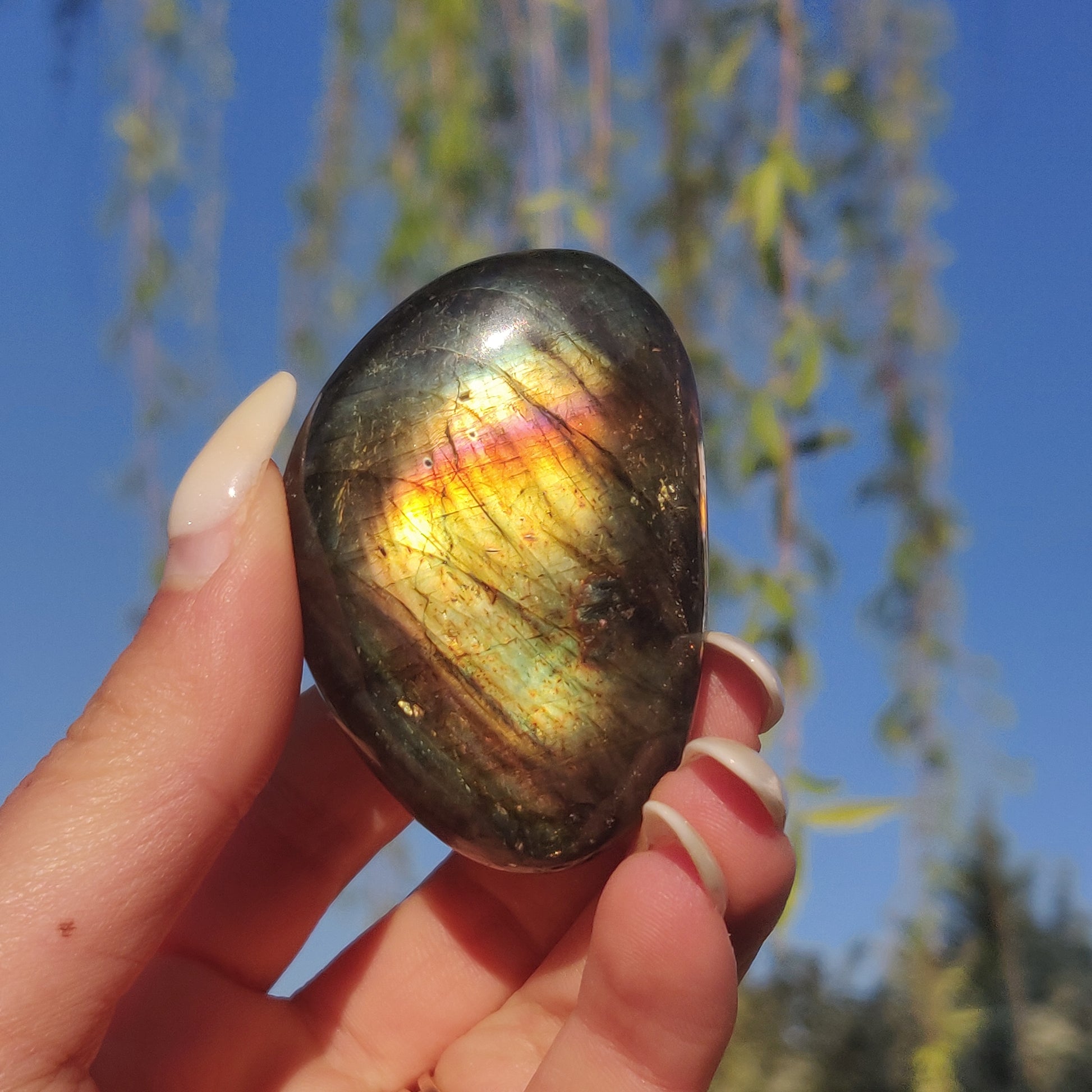 Labradorite Palm Stone (#232) - Simply Affinity