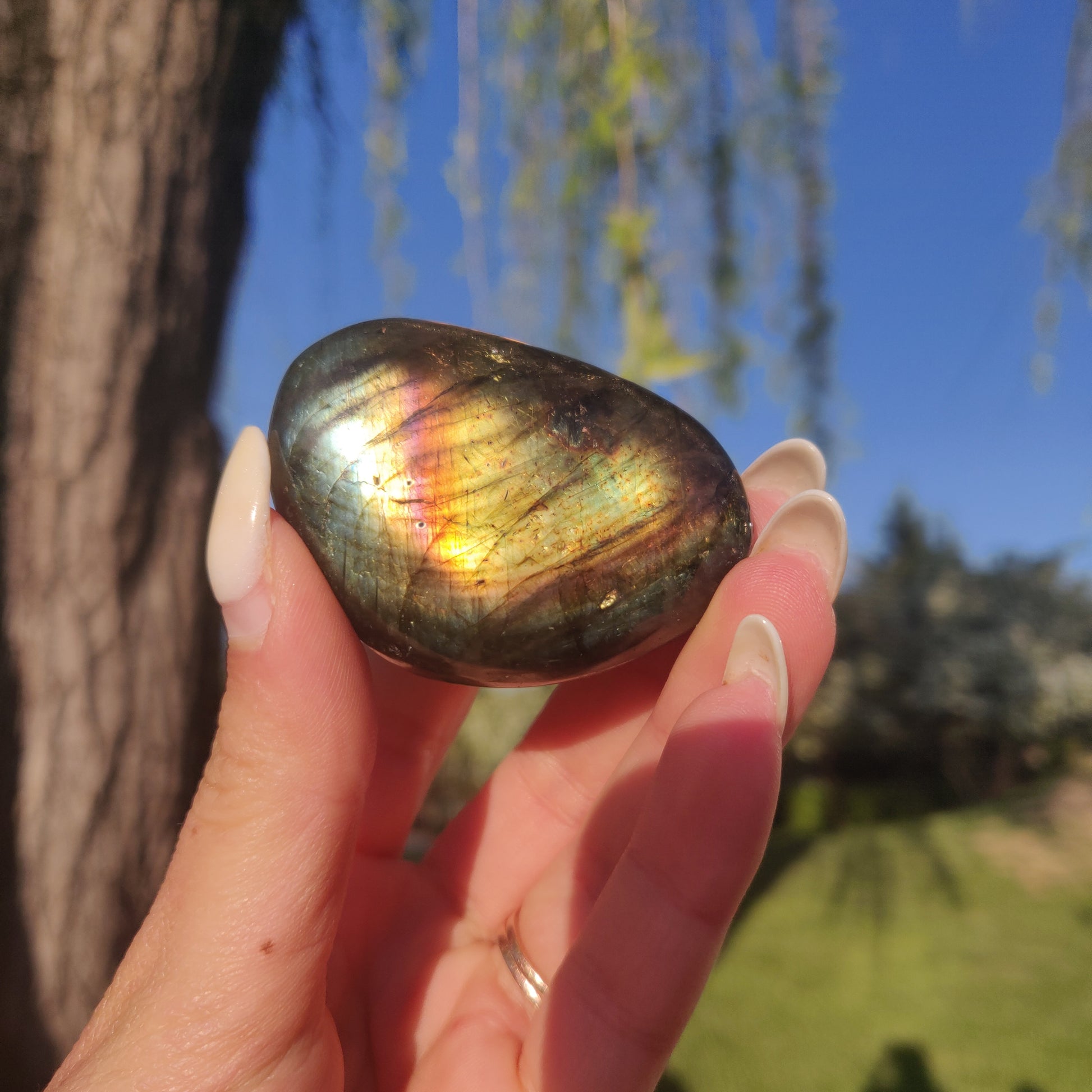 Labradorite Palm Stone (#232) - Simply Affinity