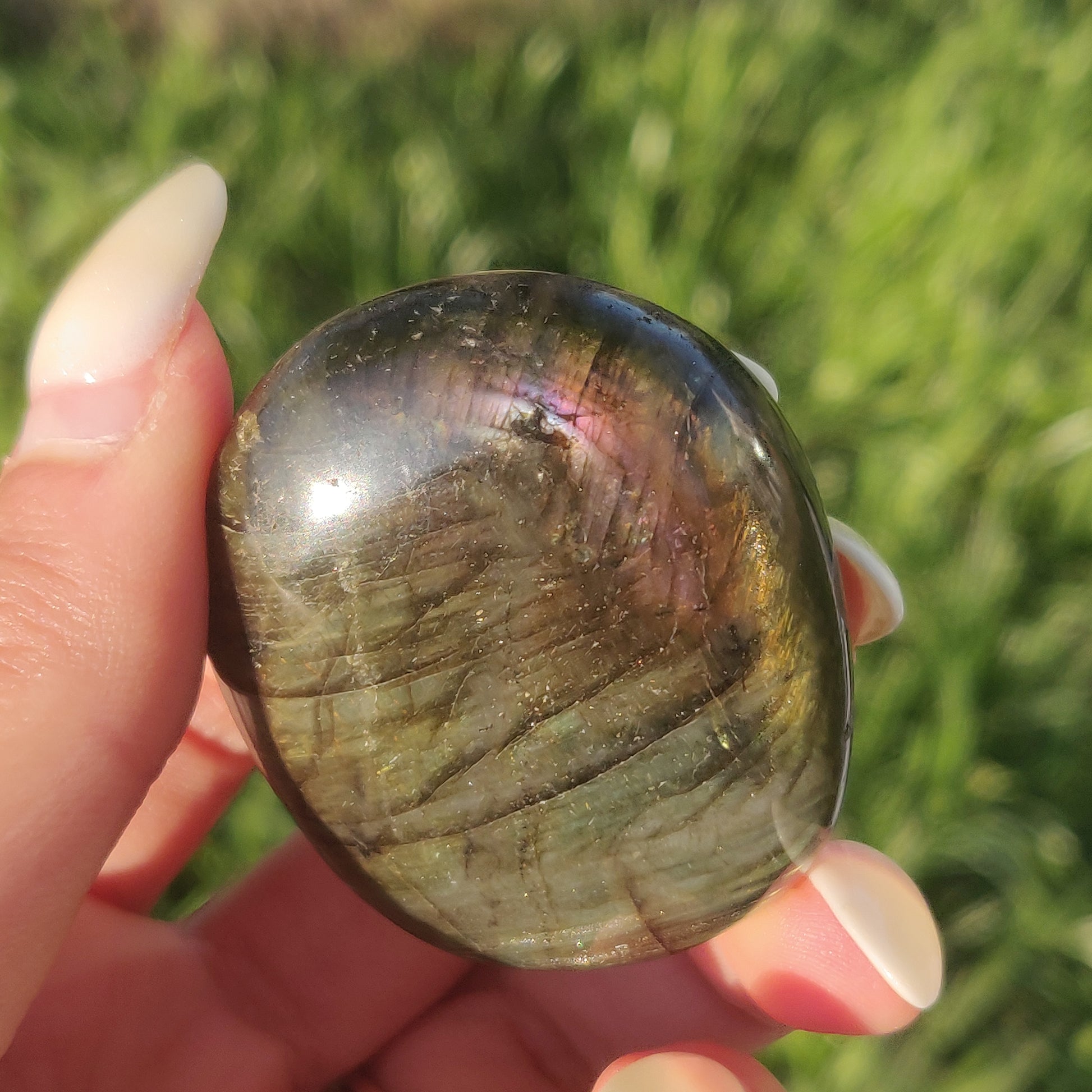 Labradorite Palm Stone (#234) - Simply Affinity