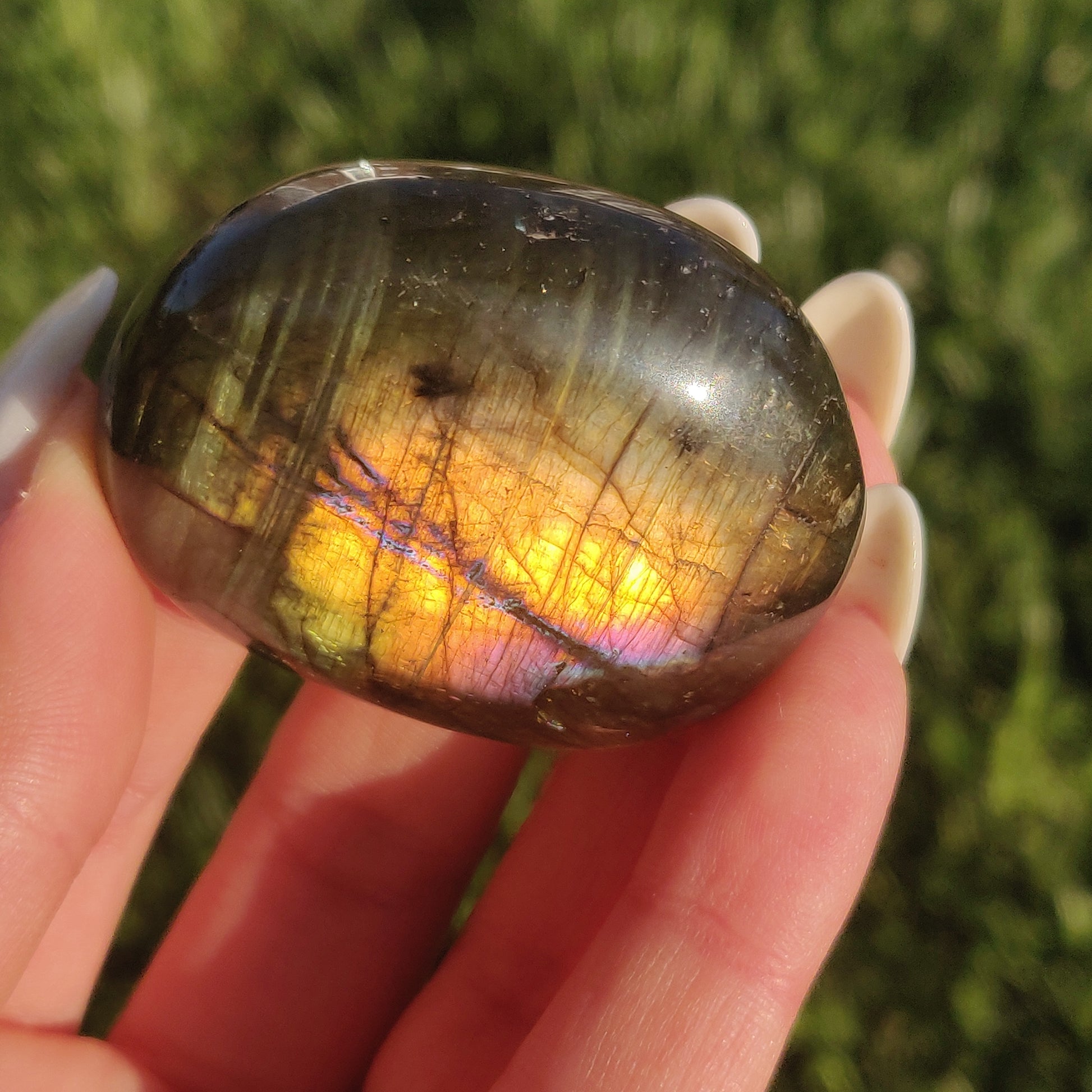 Labradorite Palm Stone (#234) - Simply Affinity