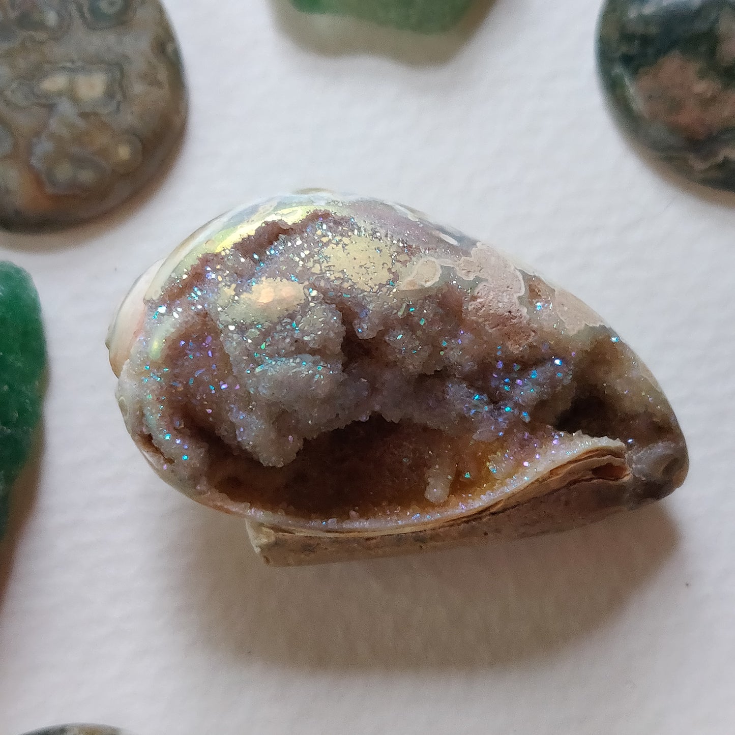 Aura Druzy Shell (#14) - Simply Affinity