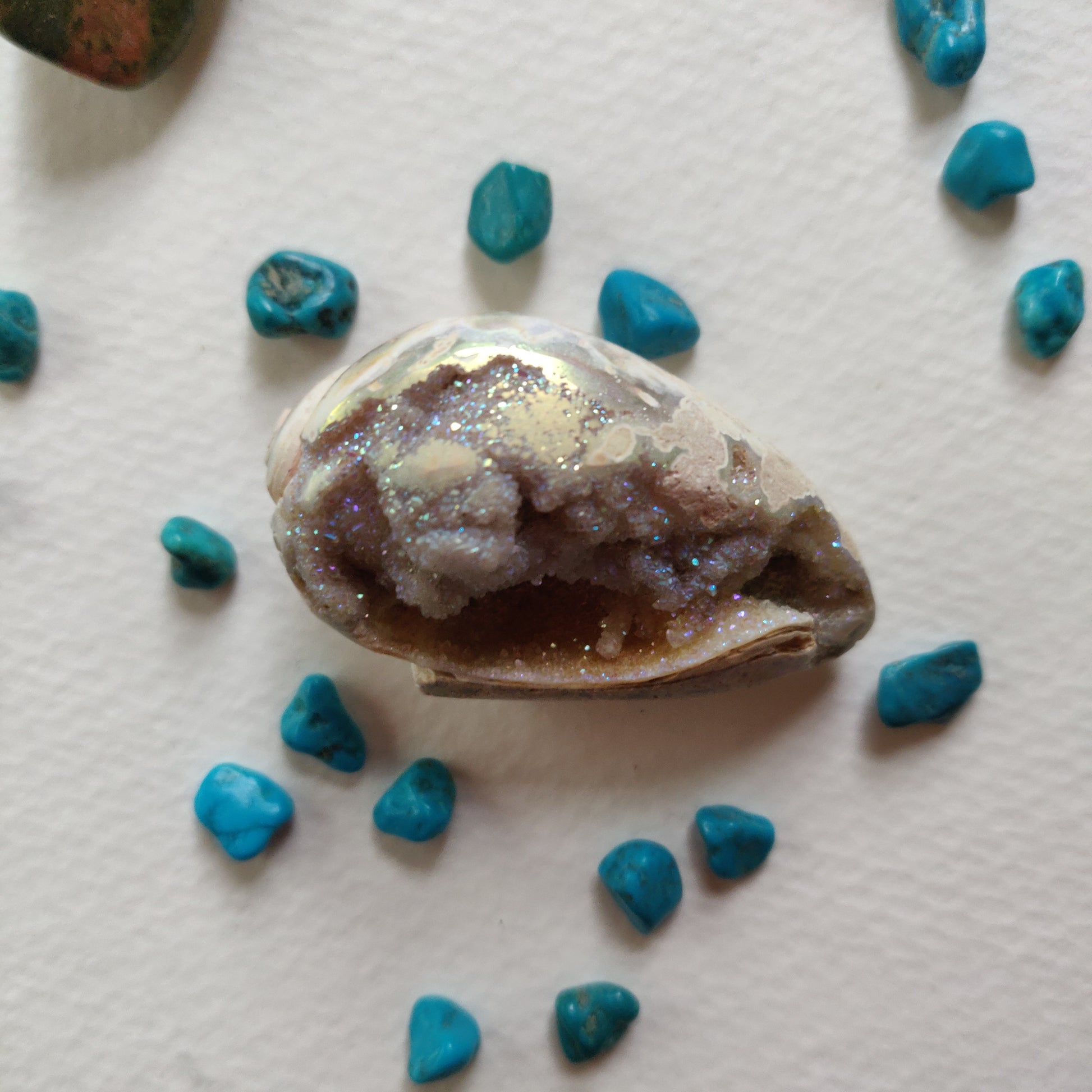 Aura Druzy Shell (#14) - Simply Affinity