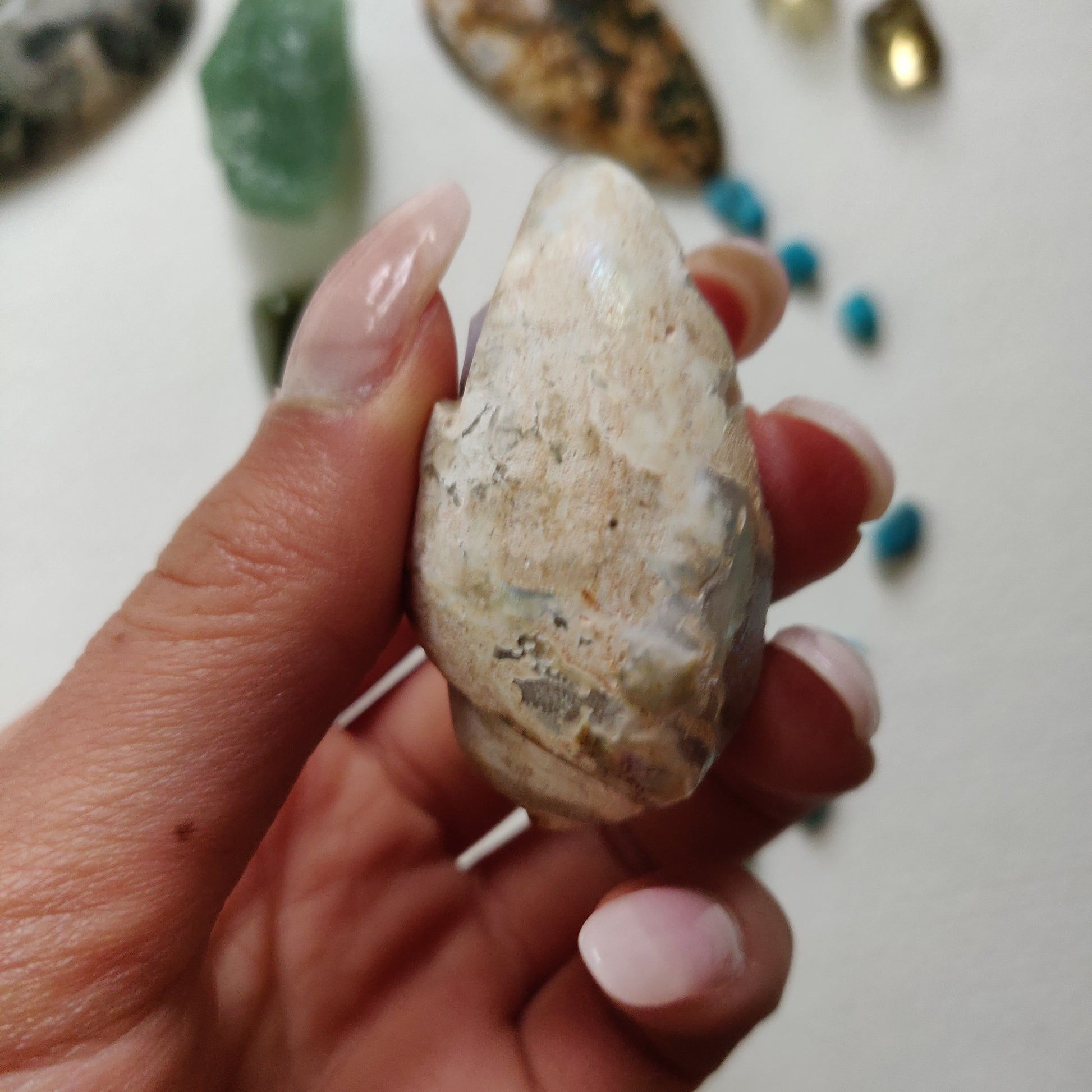 Aura Druzy Shell (#14) - Simply Affinity