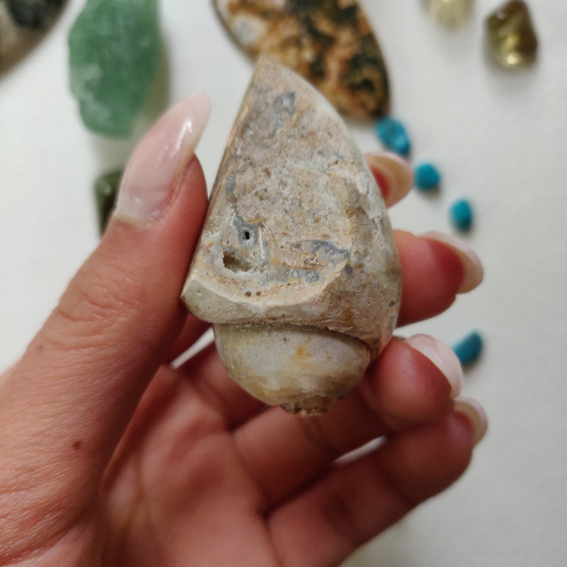 Aura Druzy Shell (#14) - Simply Affinity