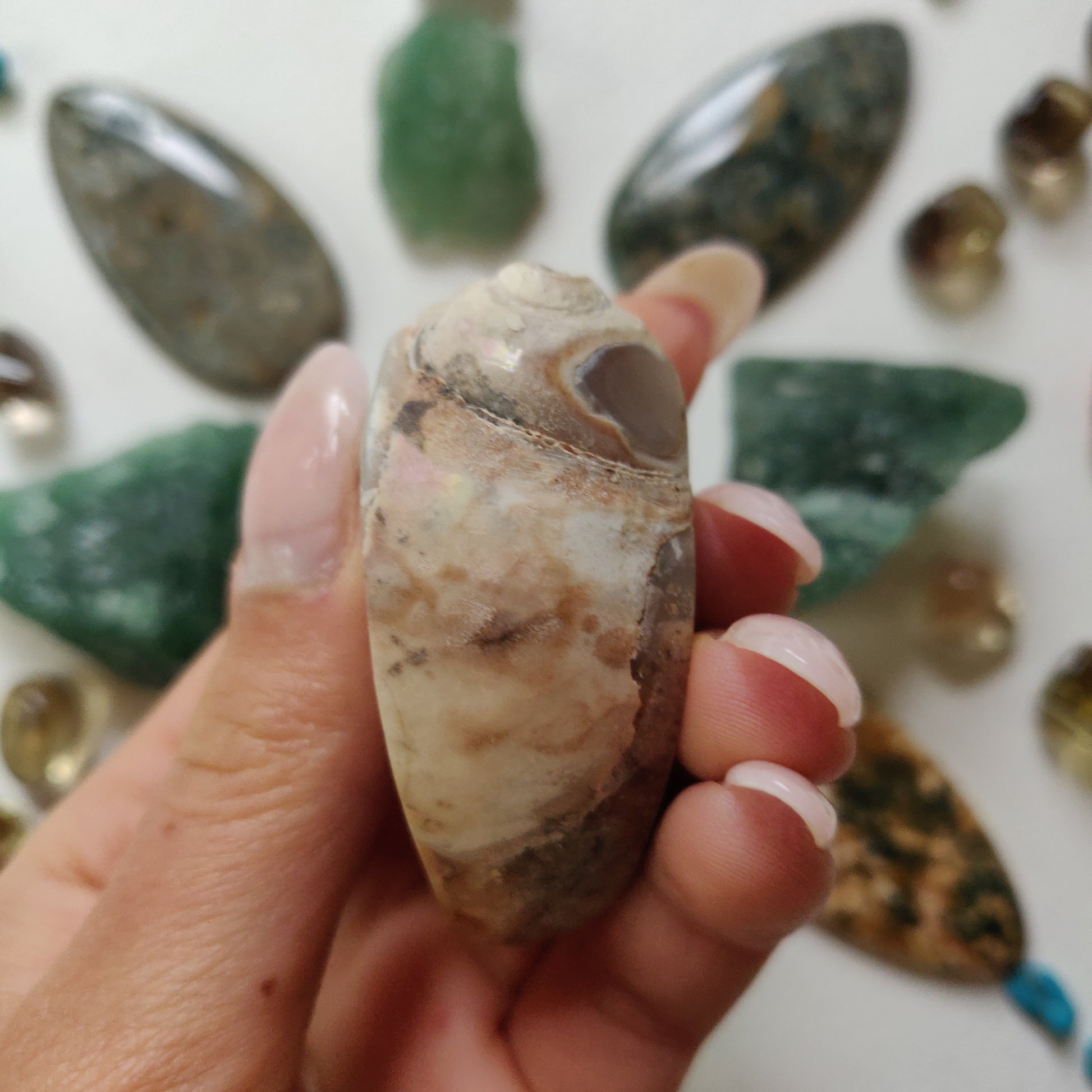 Aura Druzy Shell (#12) - Simply Affinity