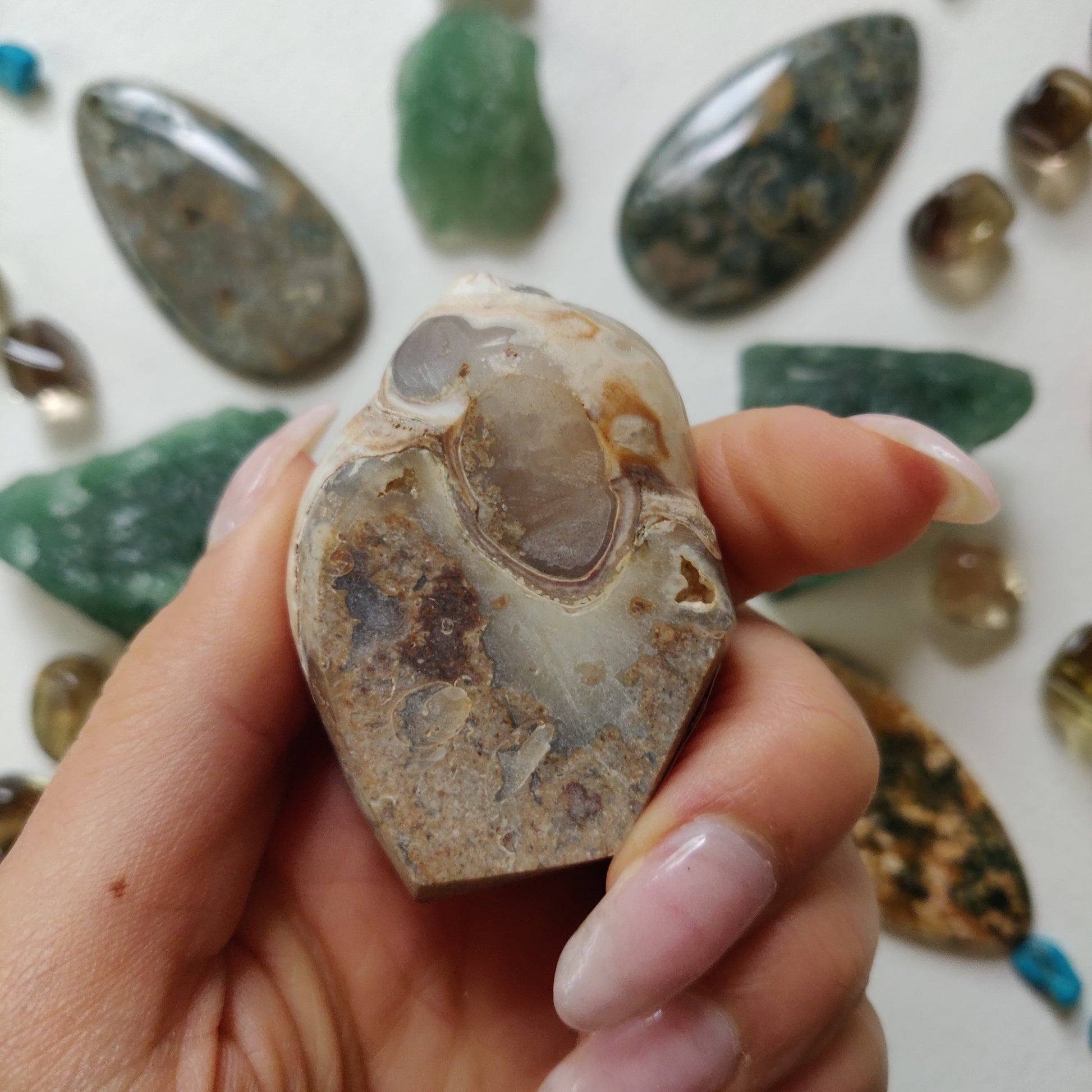 Aura Druzy Shell (#12) - Simply Affinity