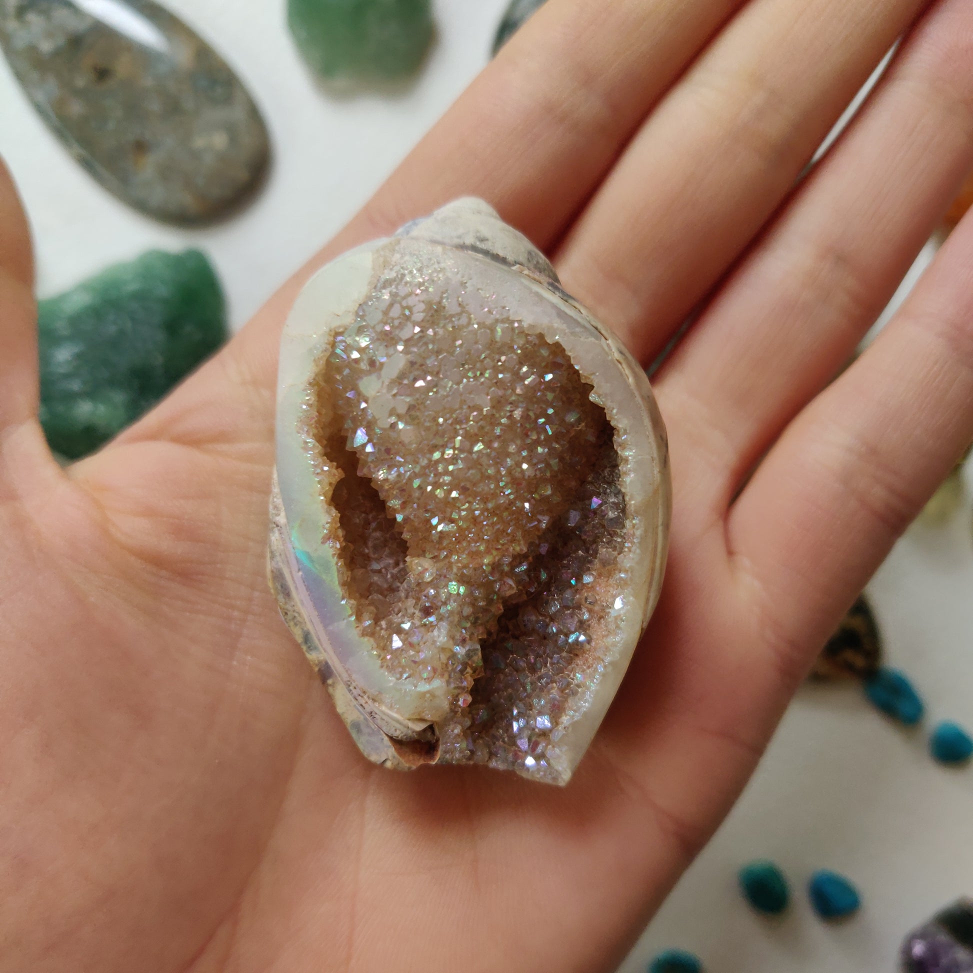 Aura Druzy Shell (#12) - Simply Affinity