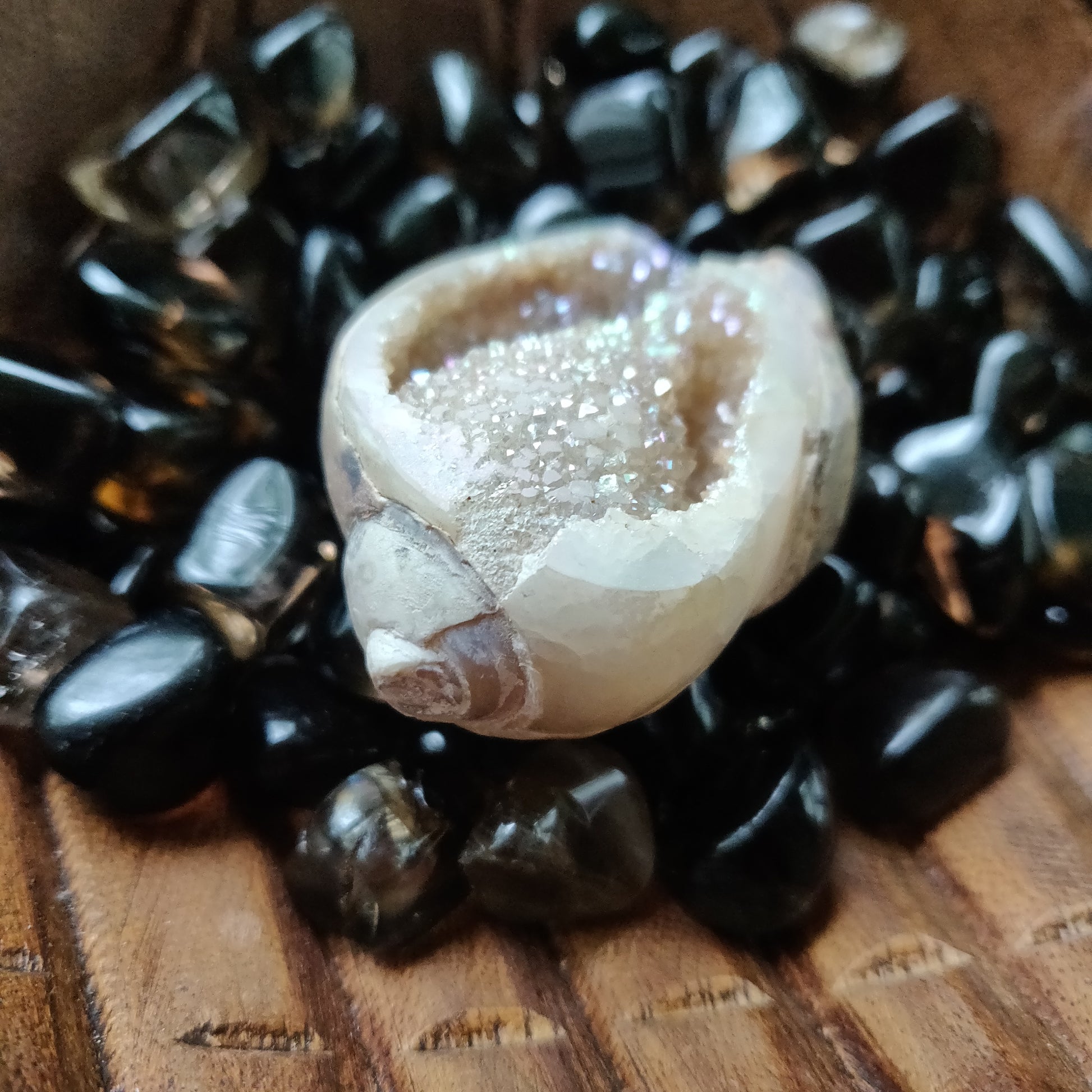 Aura Druzy Shell (#12) - Simply Affinity