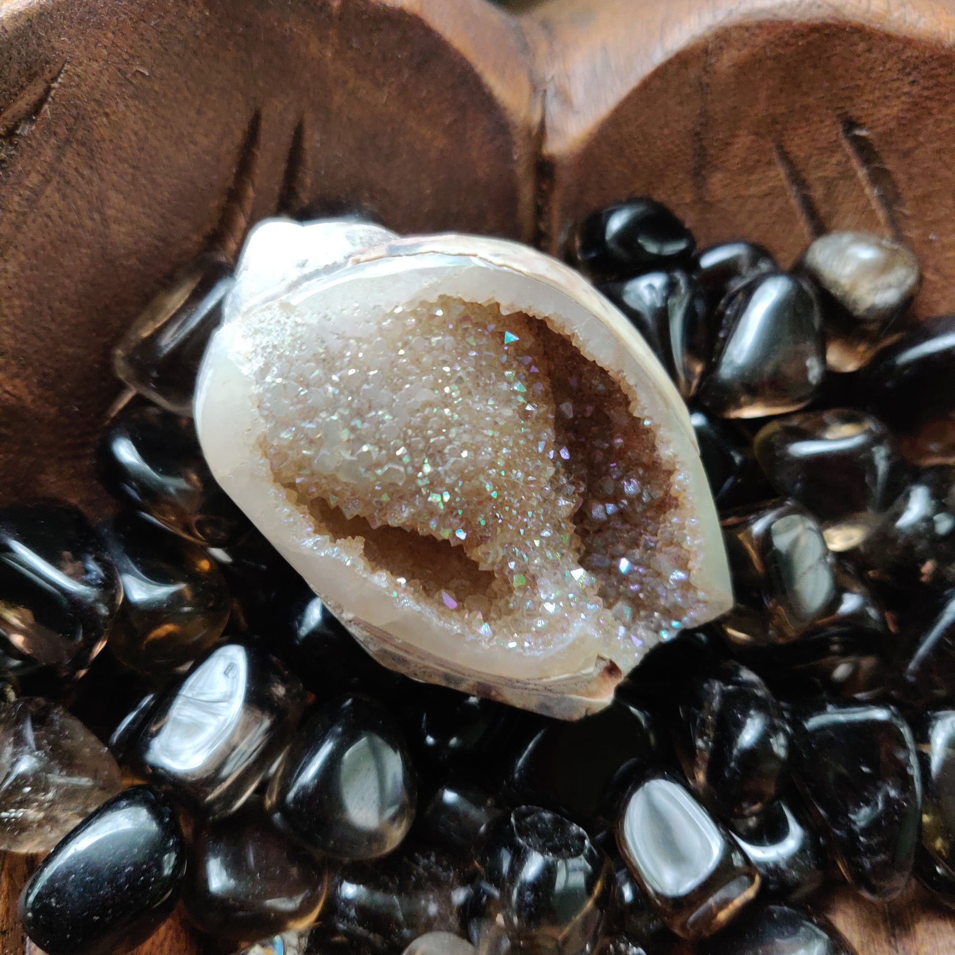 Aura Druzy Shell (#12) - Simply Affinity