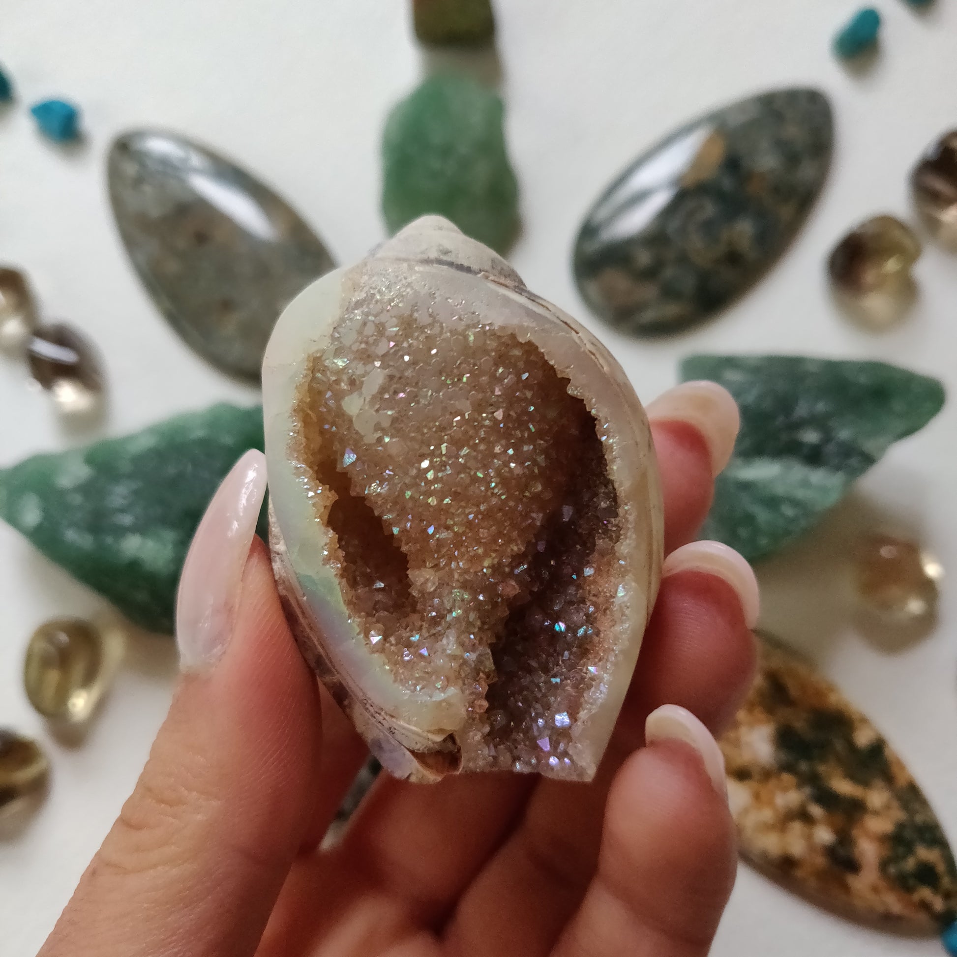Aura Druzy Shell (#12) - Simply Affinity