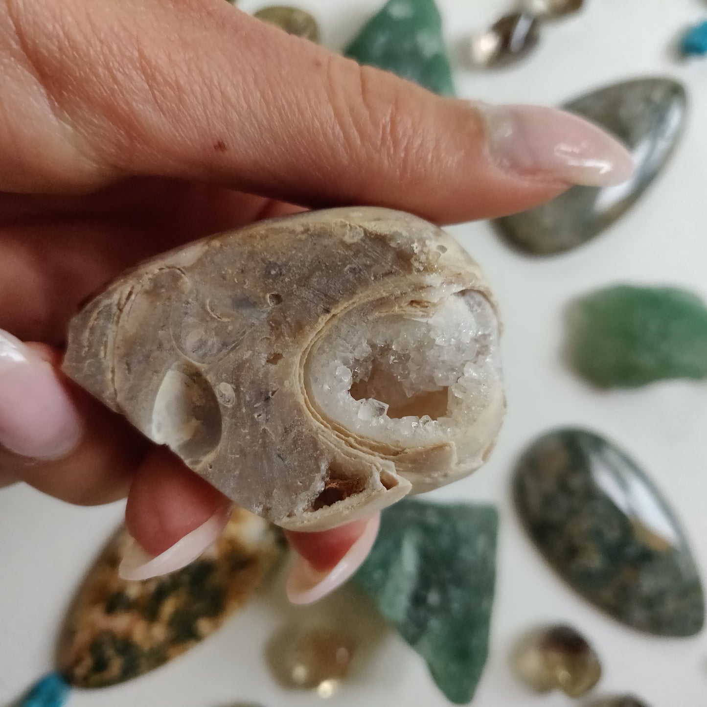Aura Druzy Shell (#16) - Simply Affinity