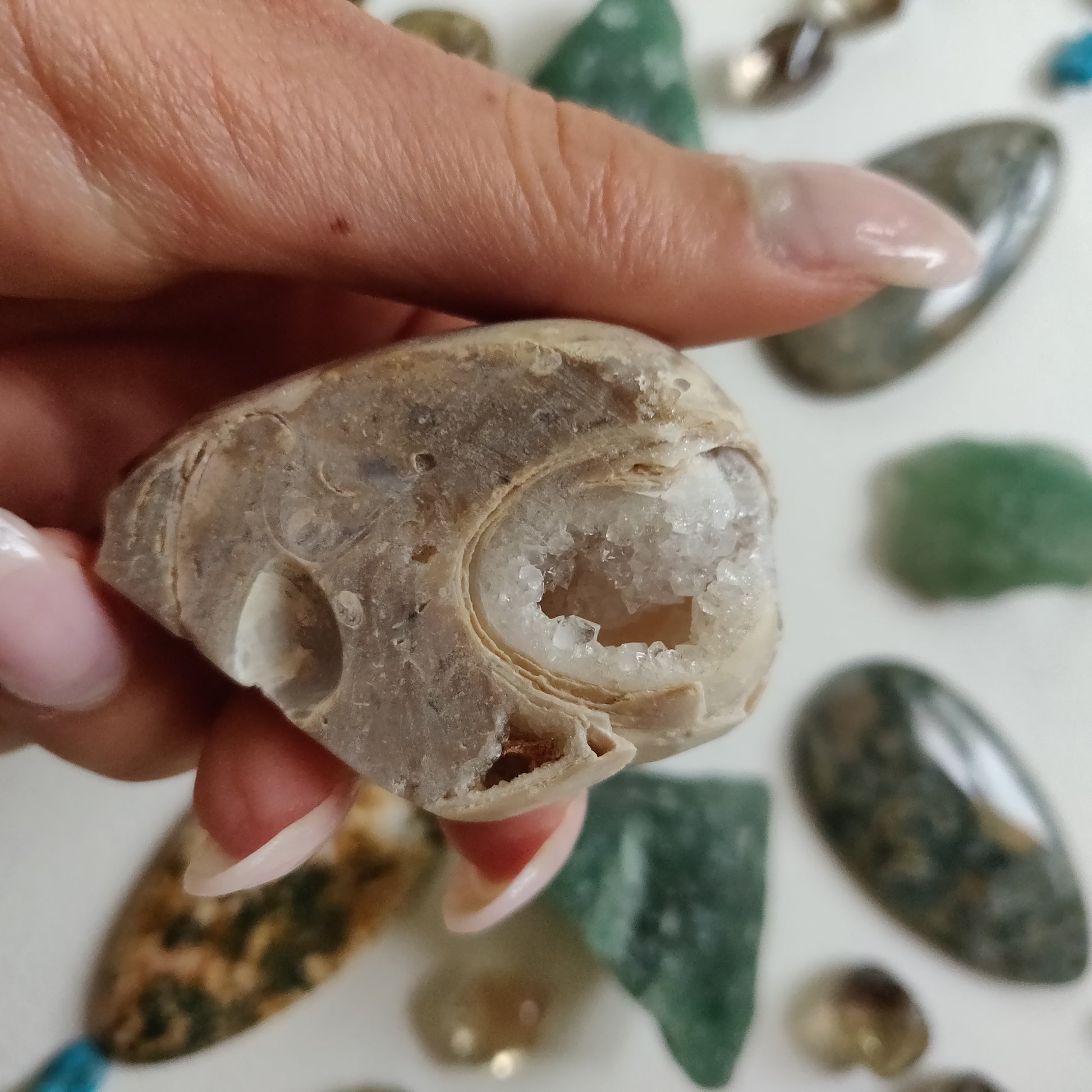 Aura Druzy Shell (#16) - Simply Affinity