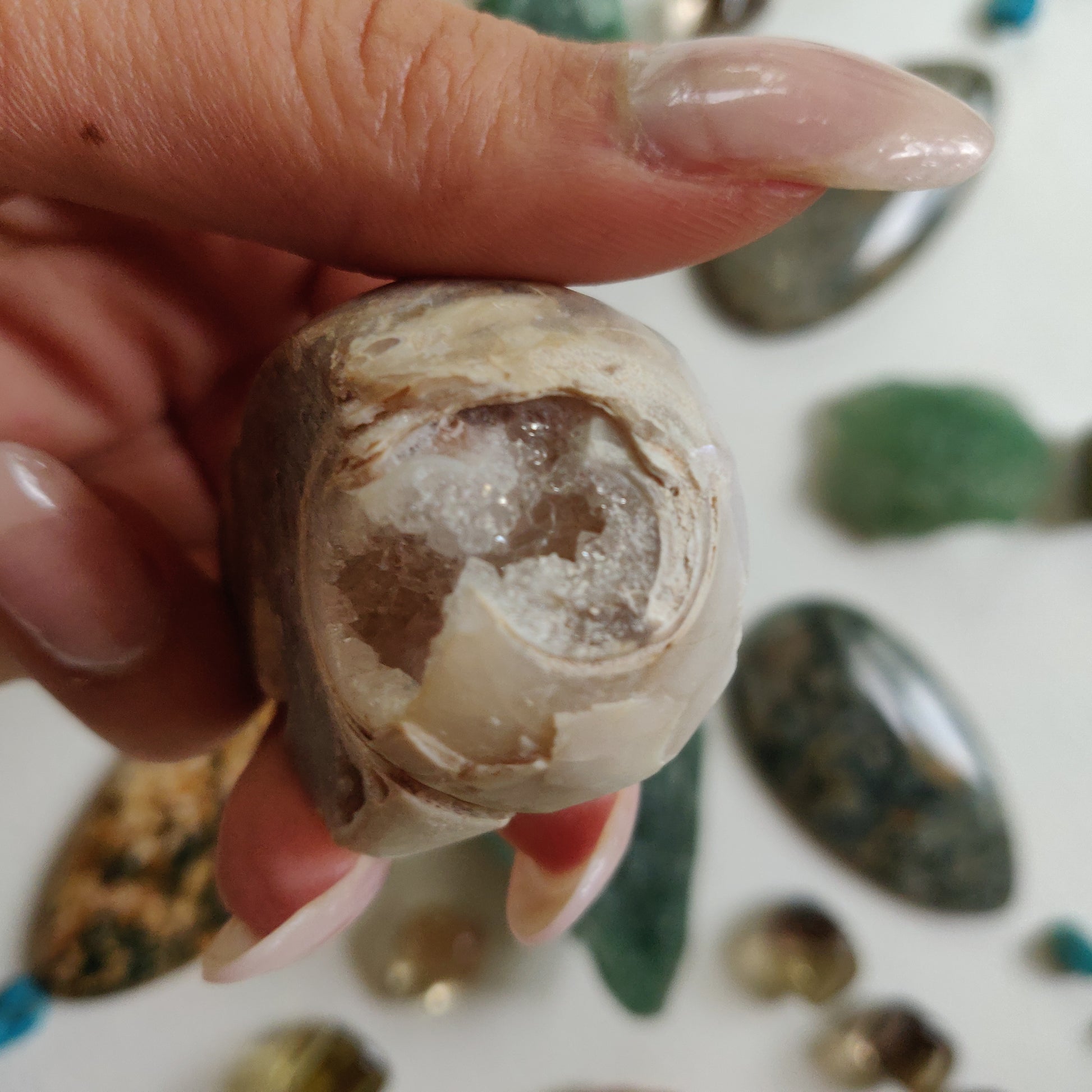 Aura Druzy Shell (#16) - Simply Affinity