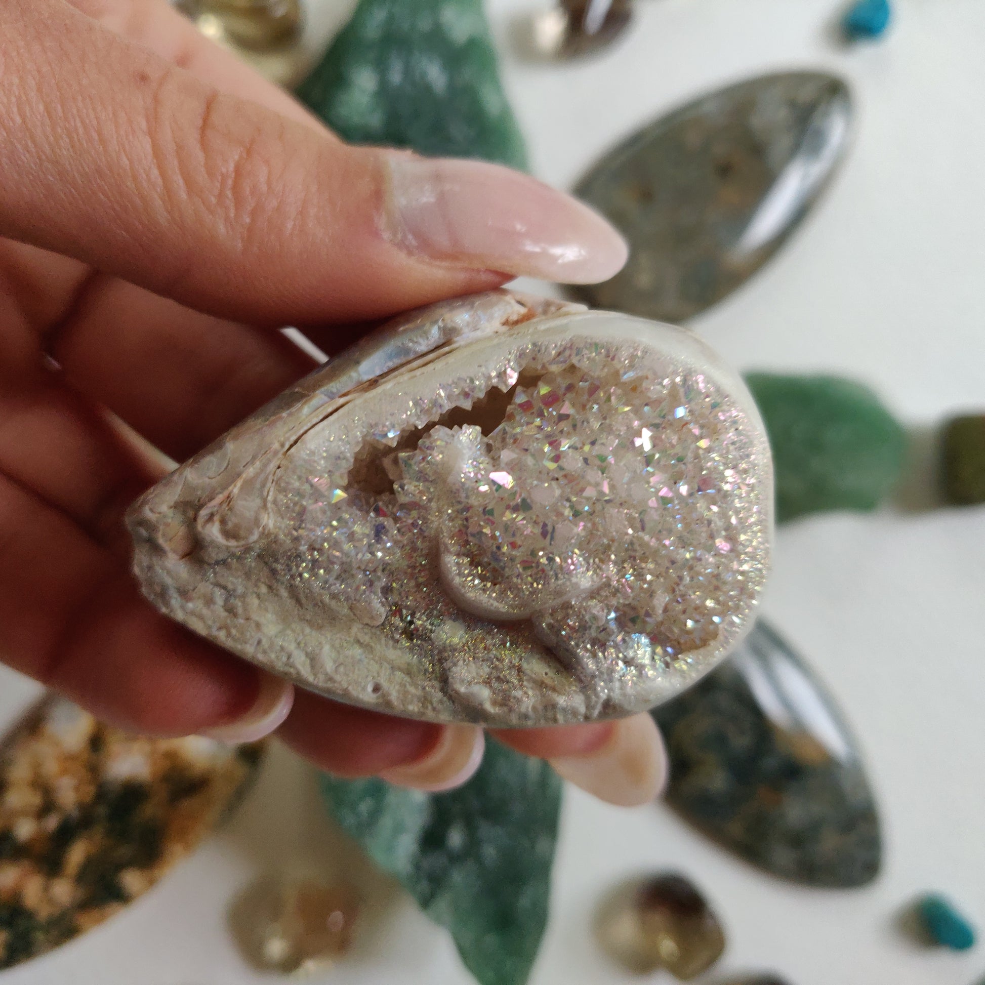 Aura Druzy Shell (#16) - Simply Affinity