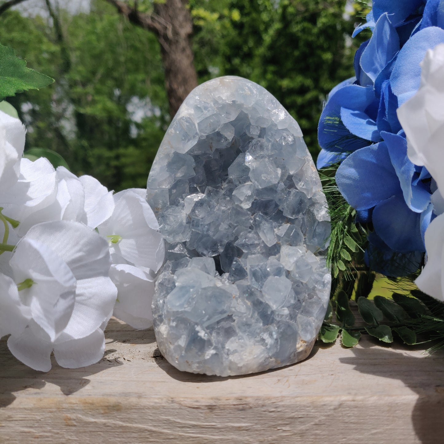 Celestite Geode Freeform (#2)