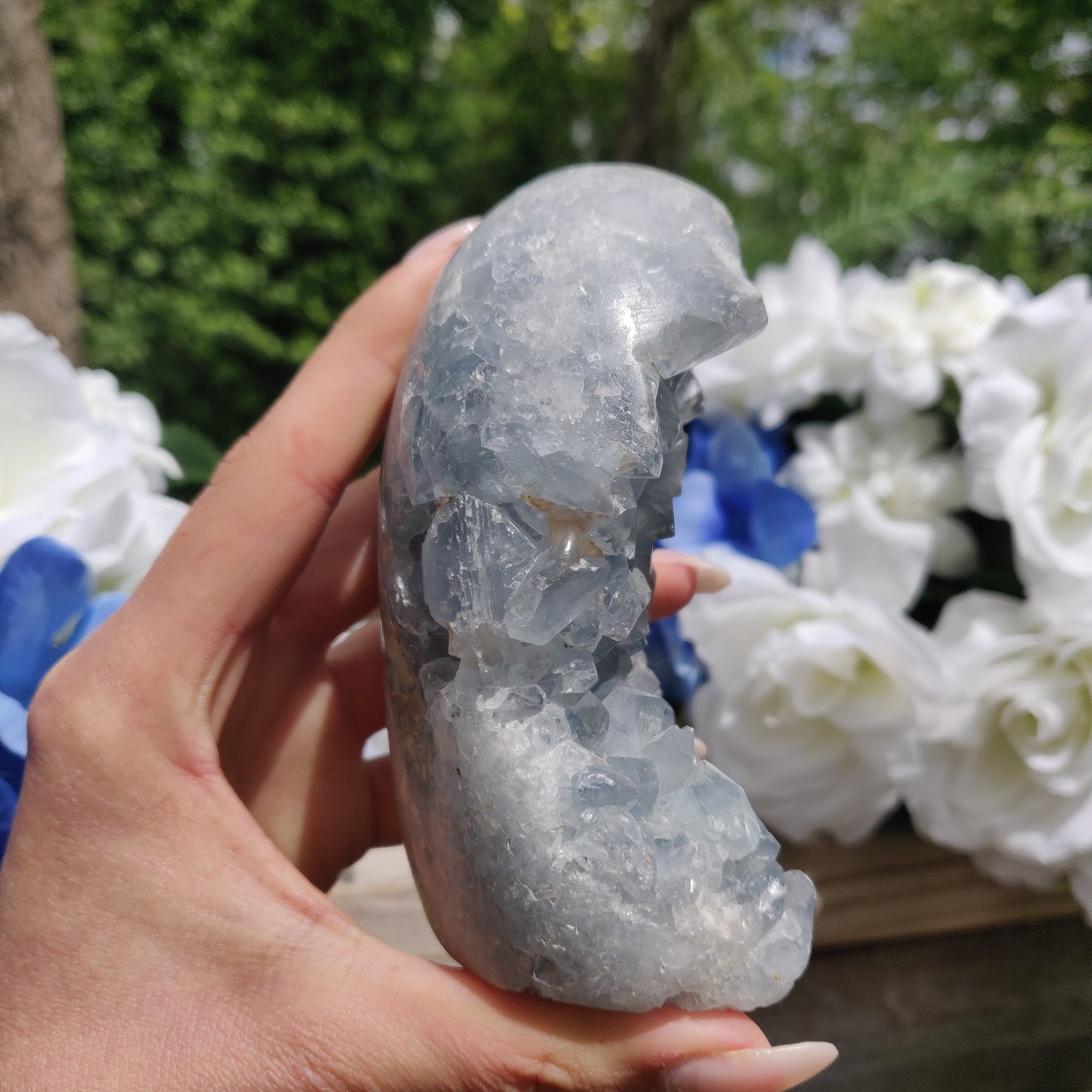 Celestite Geode Freeform (#2)