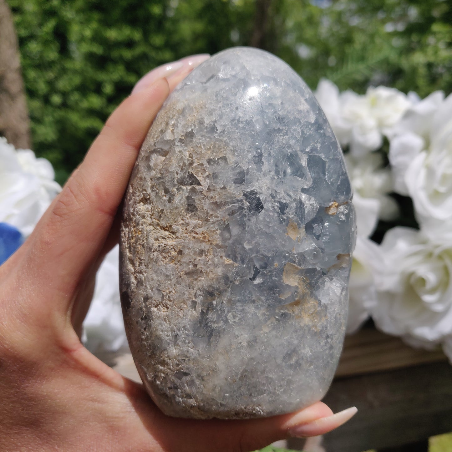 Celestite Geode Freeform (#2)
