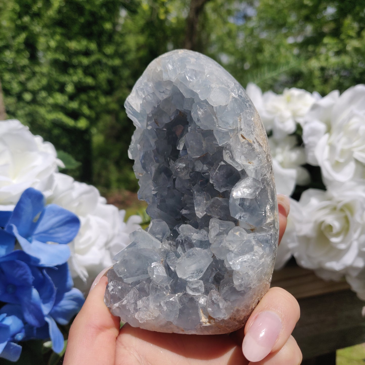 Celestite Geode Freeform (#2)
