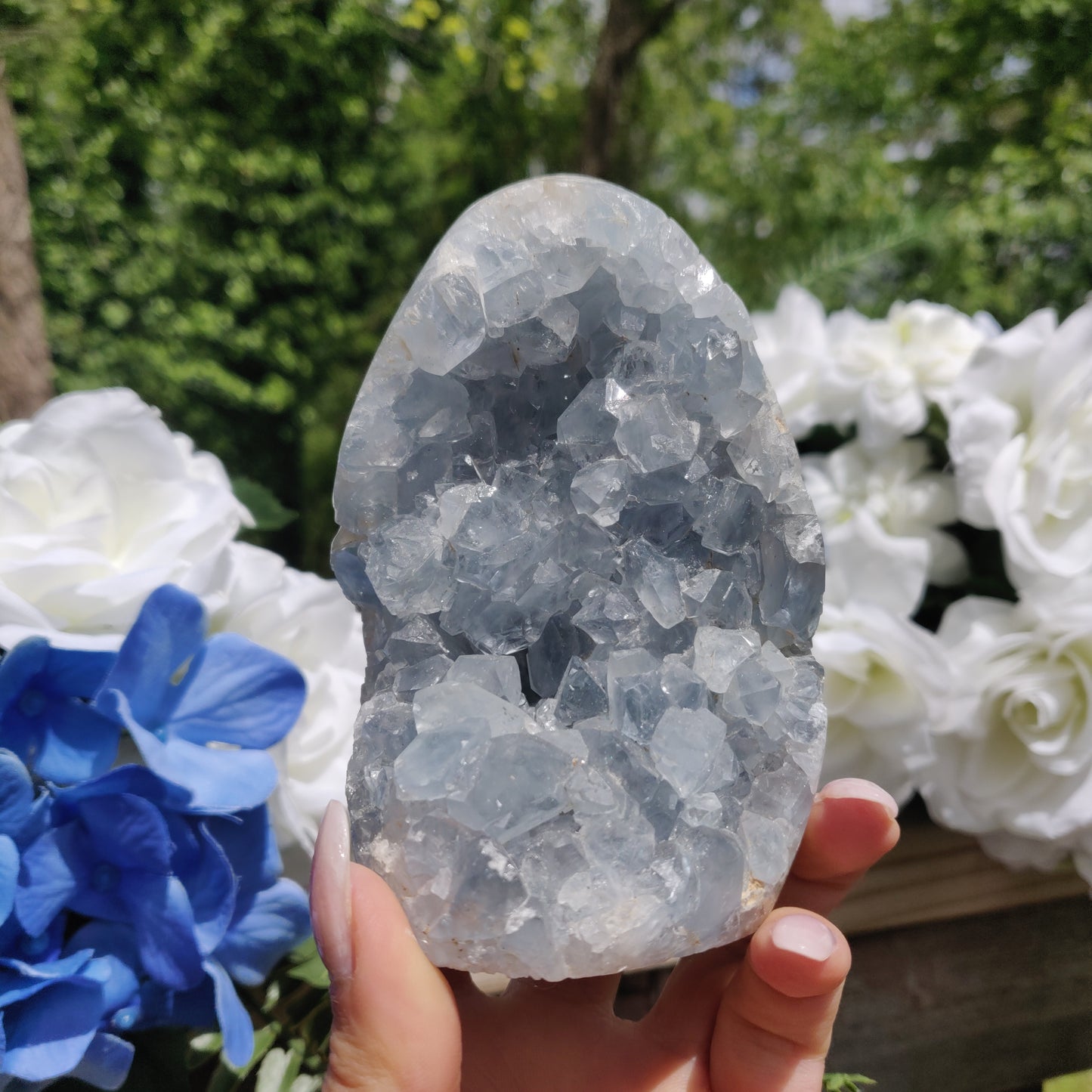 Celestite Geode Freeform (#2)