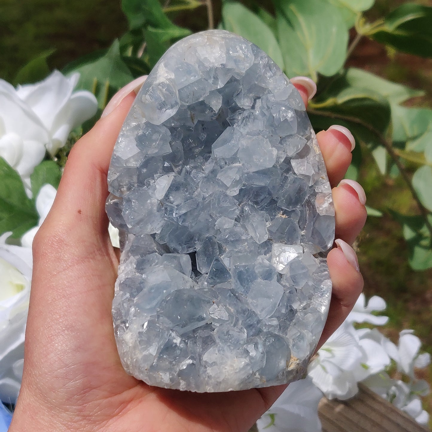 Celestite Geode Freeform (#2)