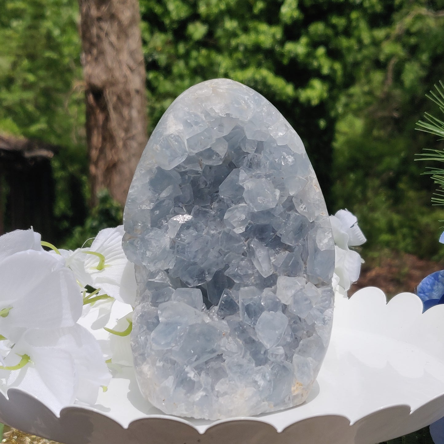 Celestite Geode Freeform (#2)