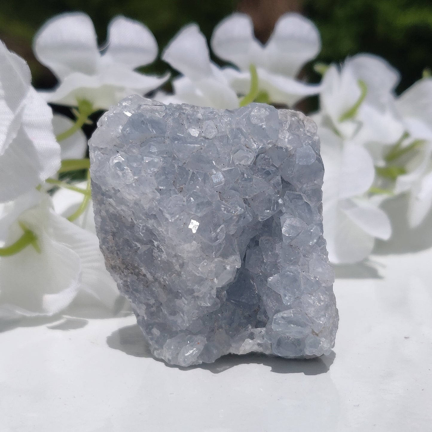 Mini Celestite Geode Freeform (#3)