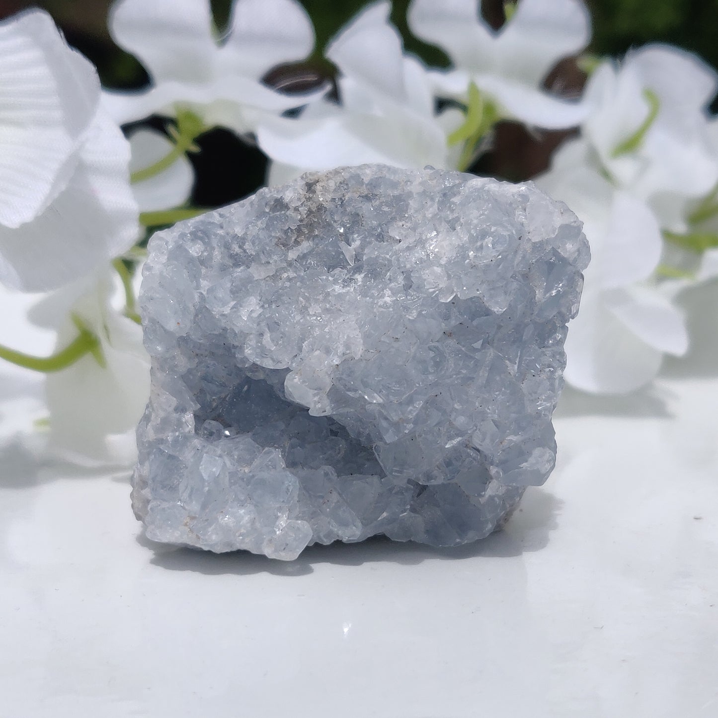 Mini Celestite Geode Freeform (#3)