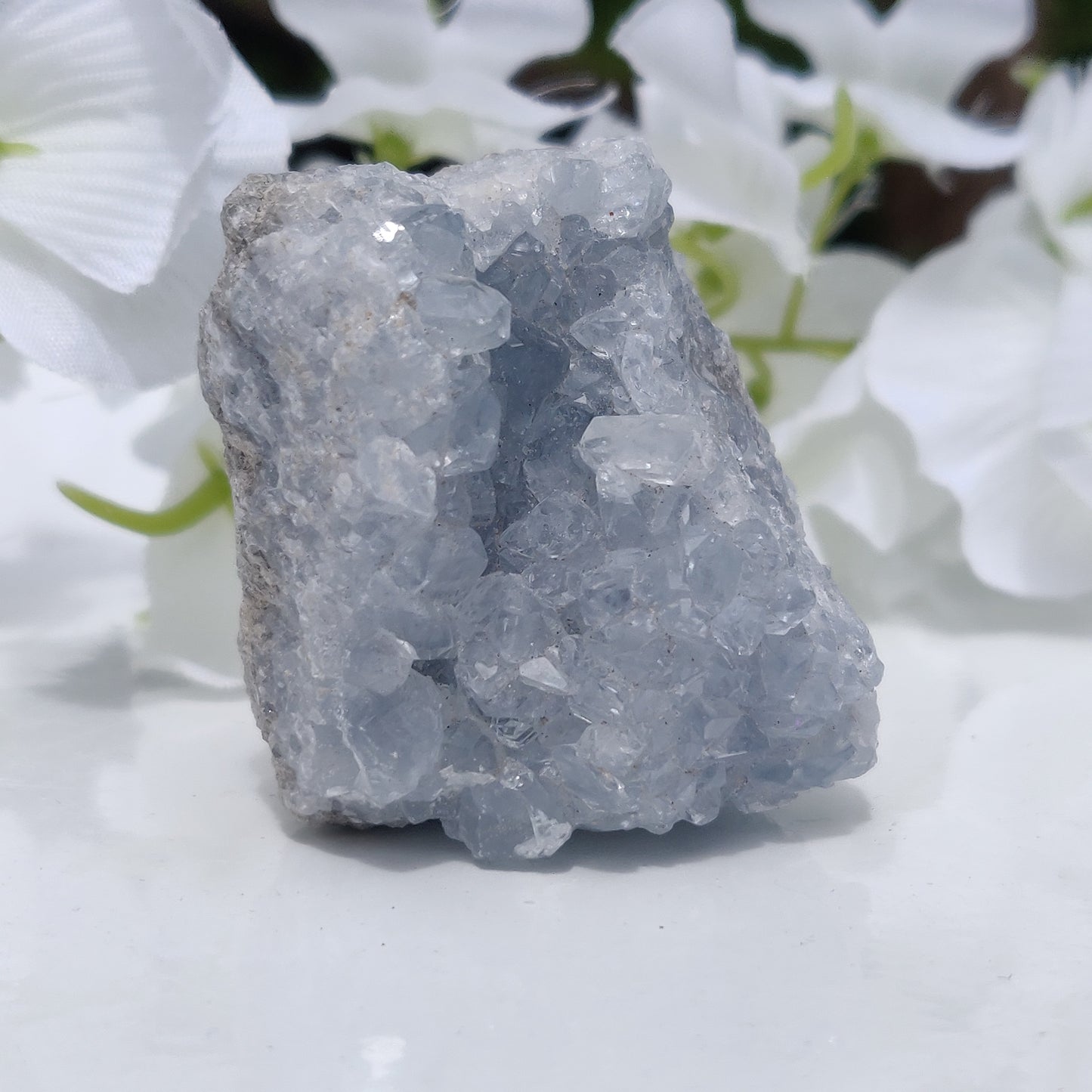 Mini Celestite Geode Freeform (#3)
