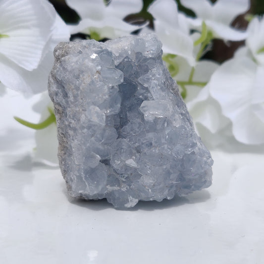 Mini Celestite Geode Freeform (#3)