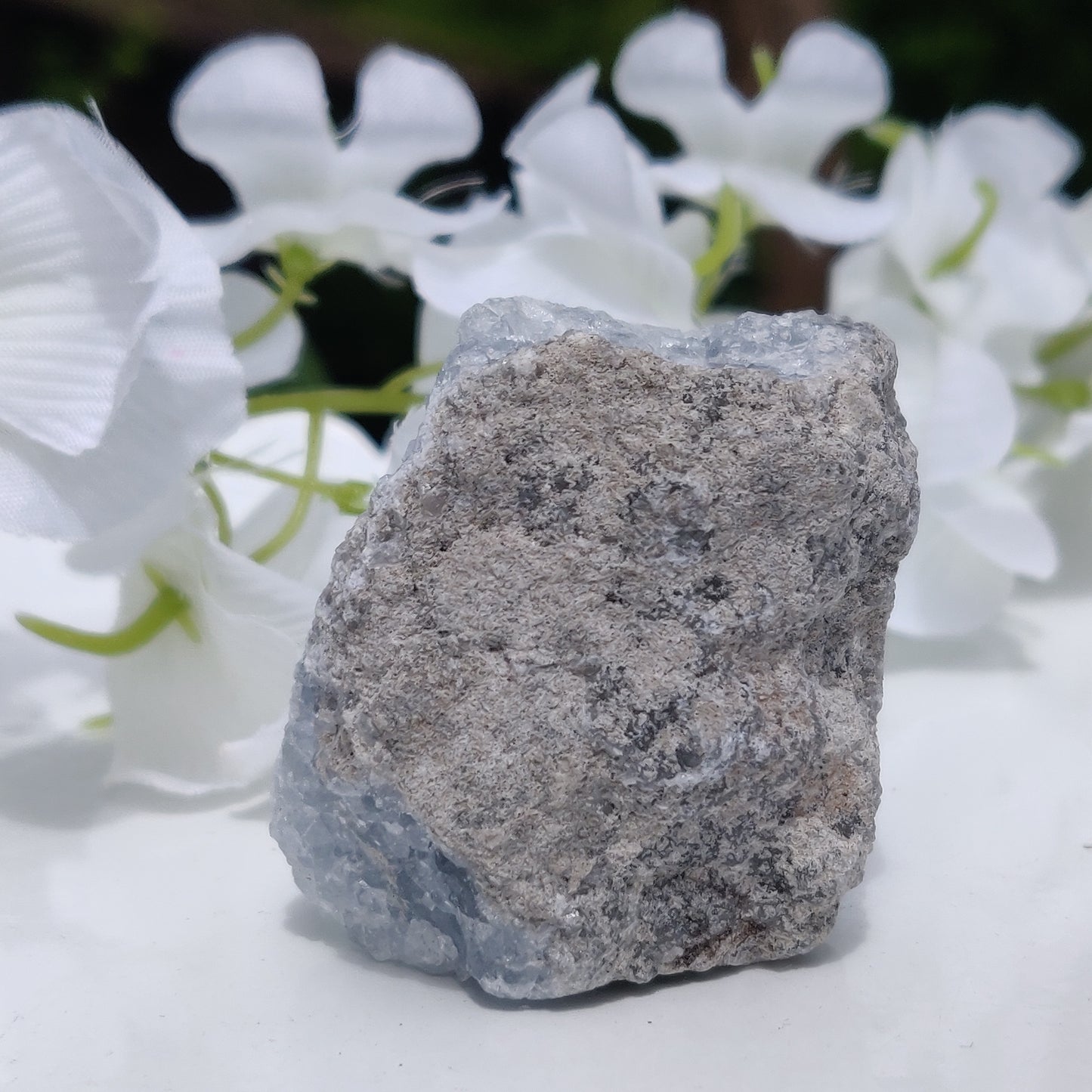 Mini Celestite Geode Freeform (#3)