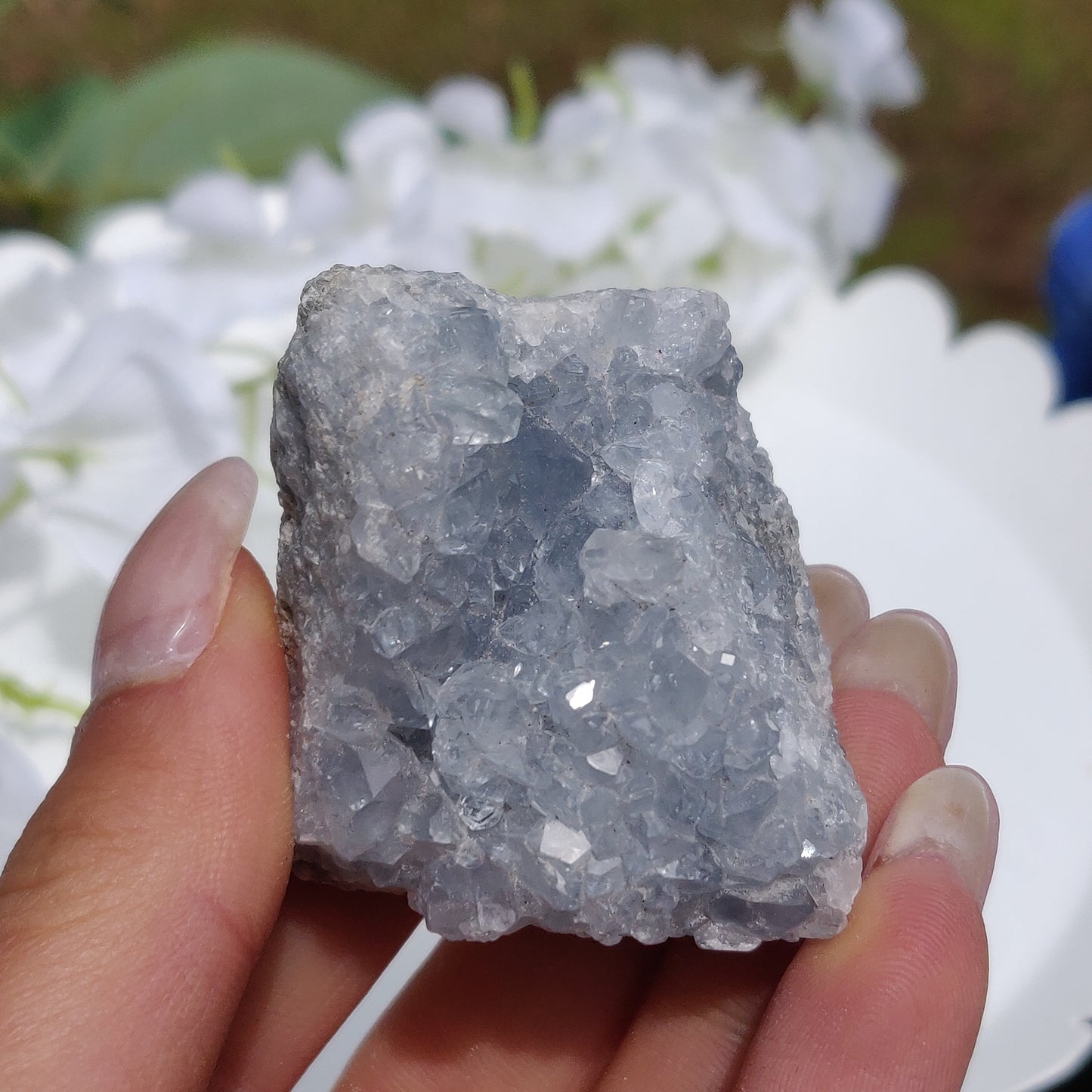 Mini Celestite Geode Freeform (#3)