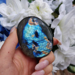 Labradorite Palm Stone (#37) - Simply Affinity