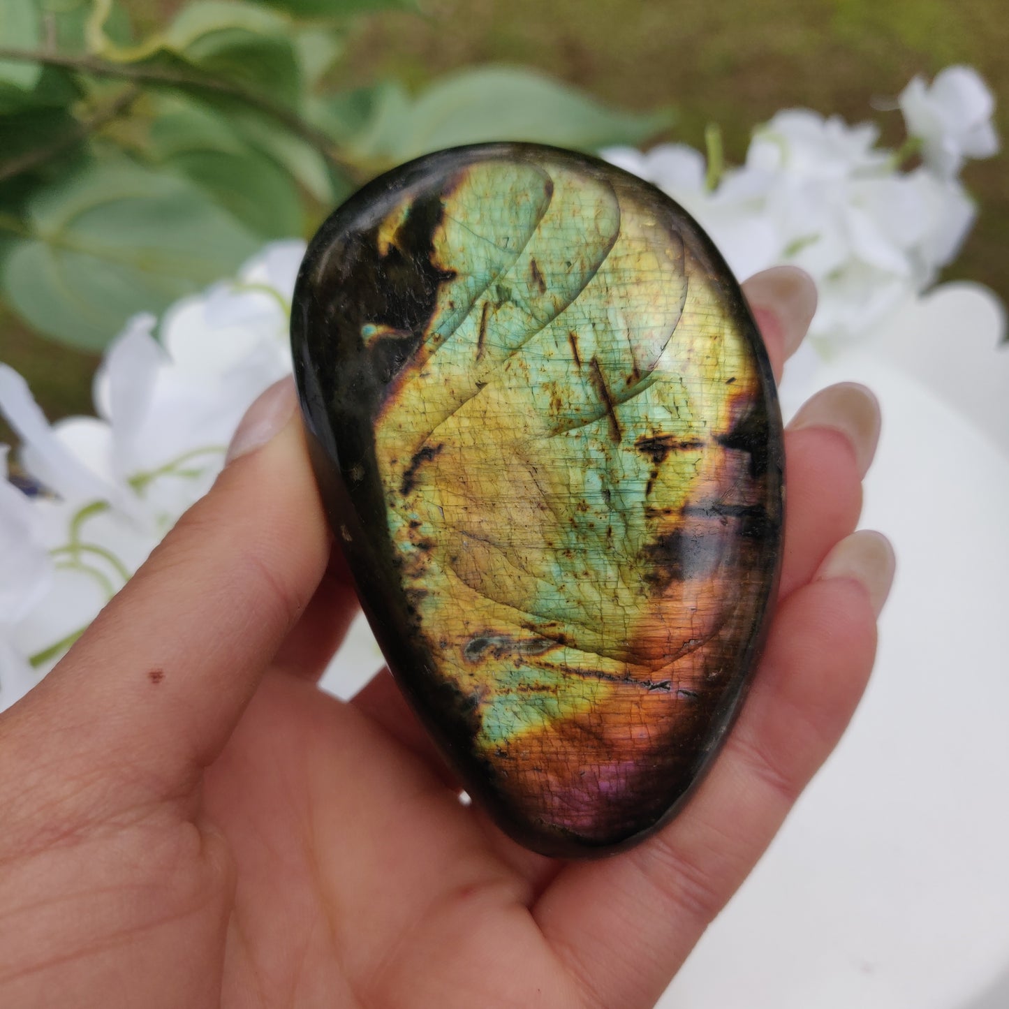 Labradorite Palm Stone (#58) - Simply Affinity